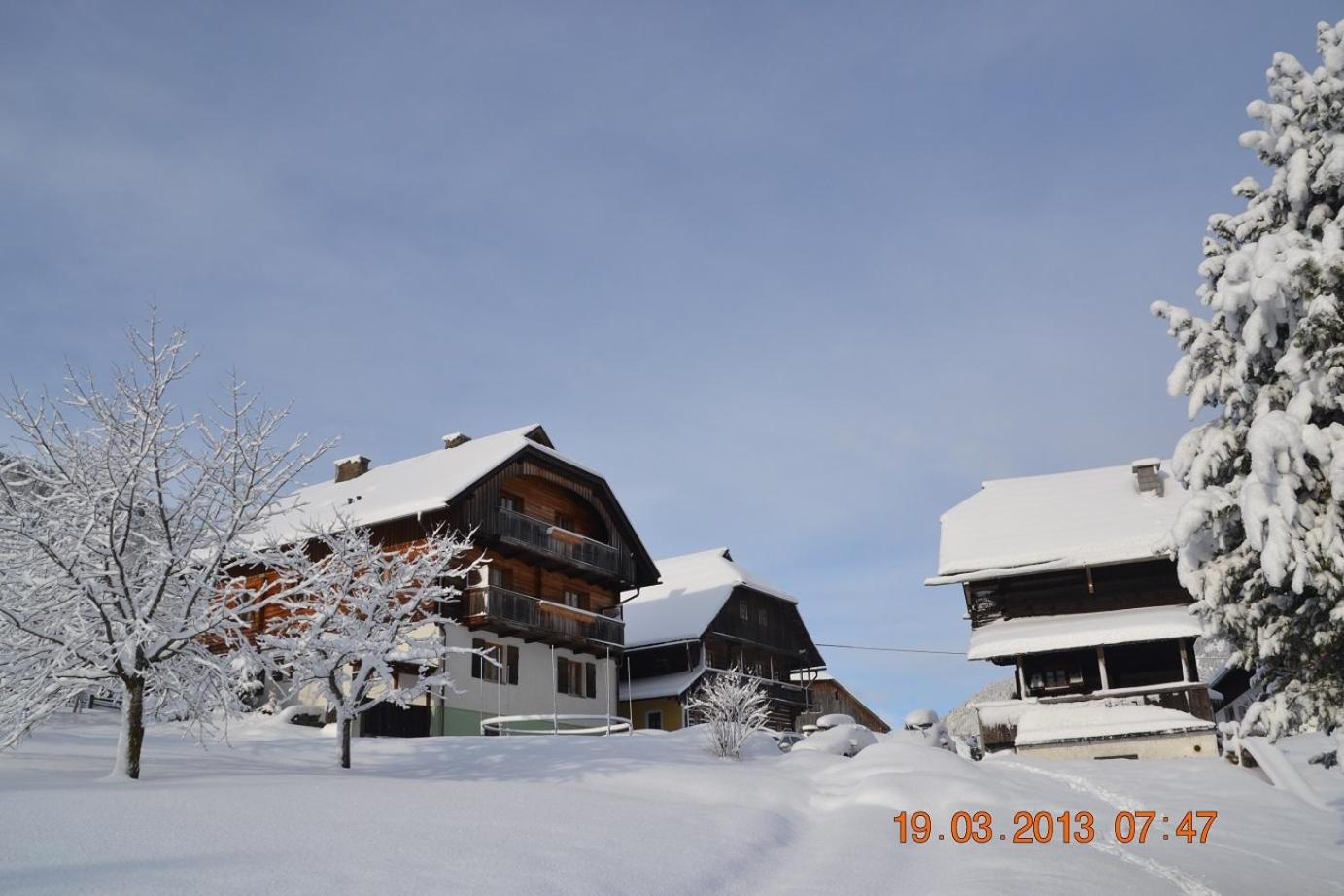 Special Offer - Chalet photo 2