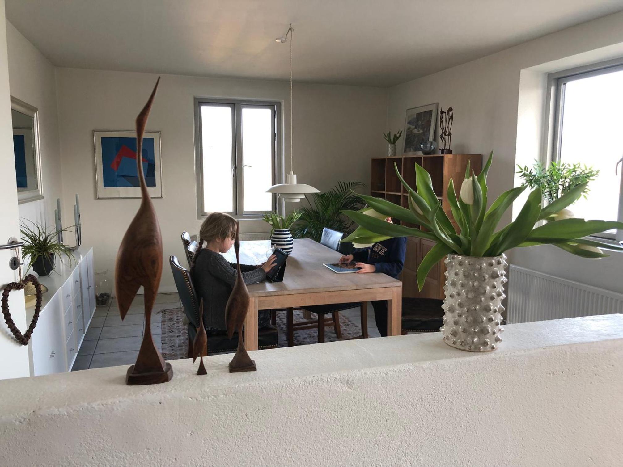 Three-Bedroom House photo 3