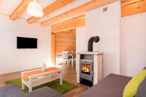 Apartment with Terrace photo 3