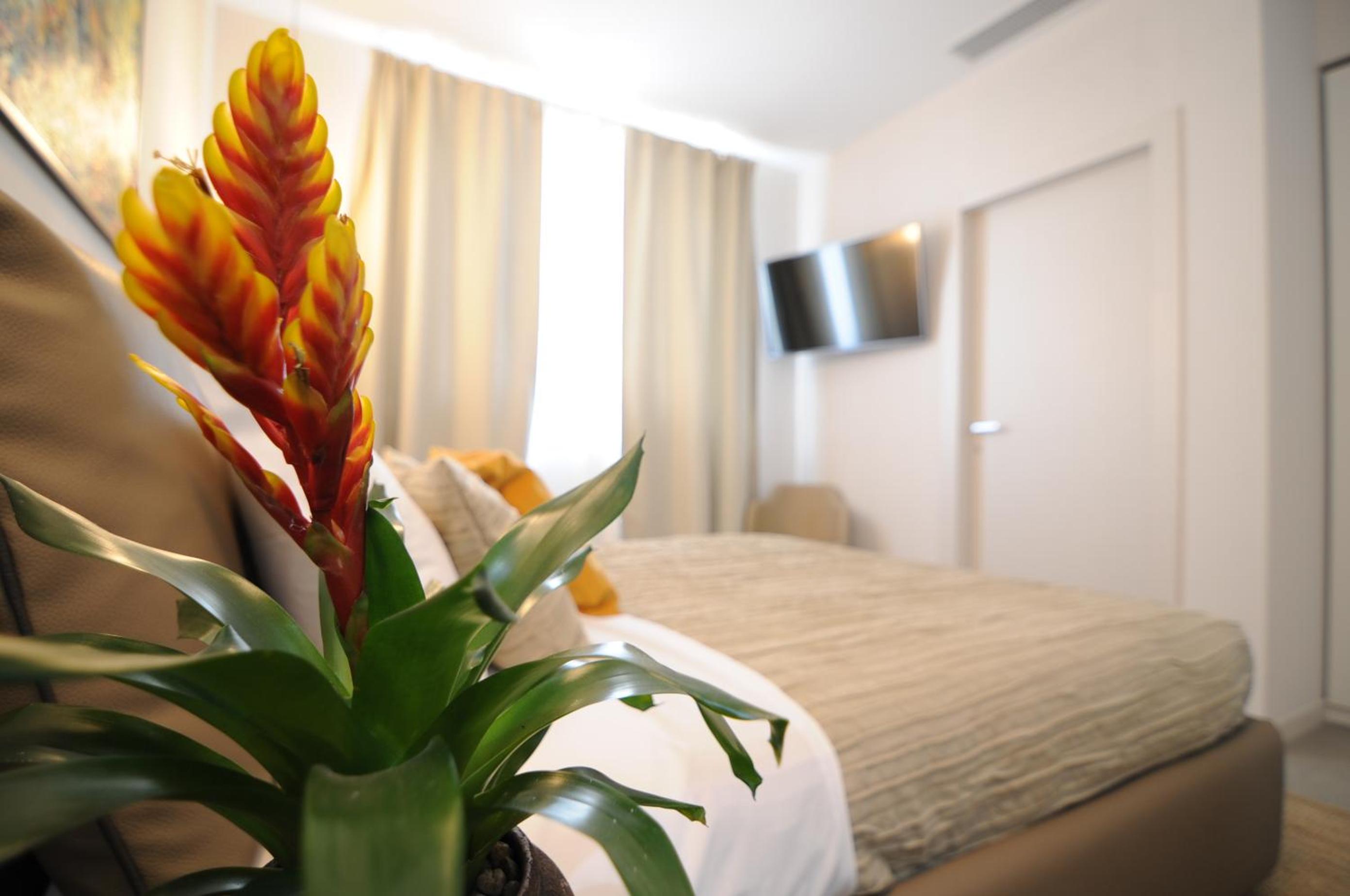 Deluxe Double Room with Shower - Photo 4