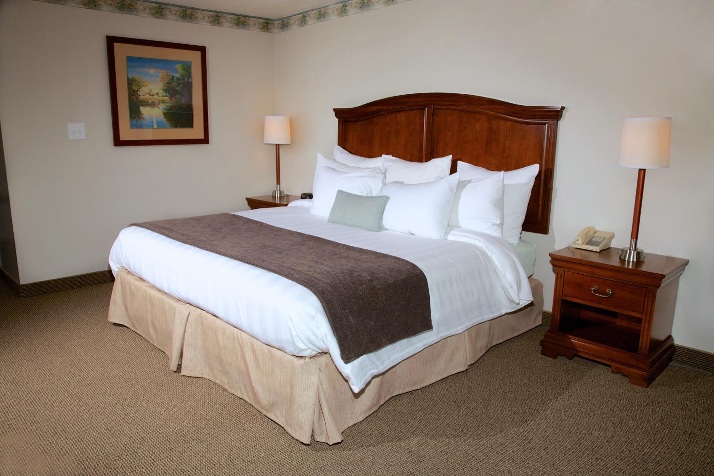 King Room photo 1