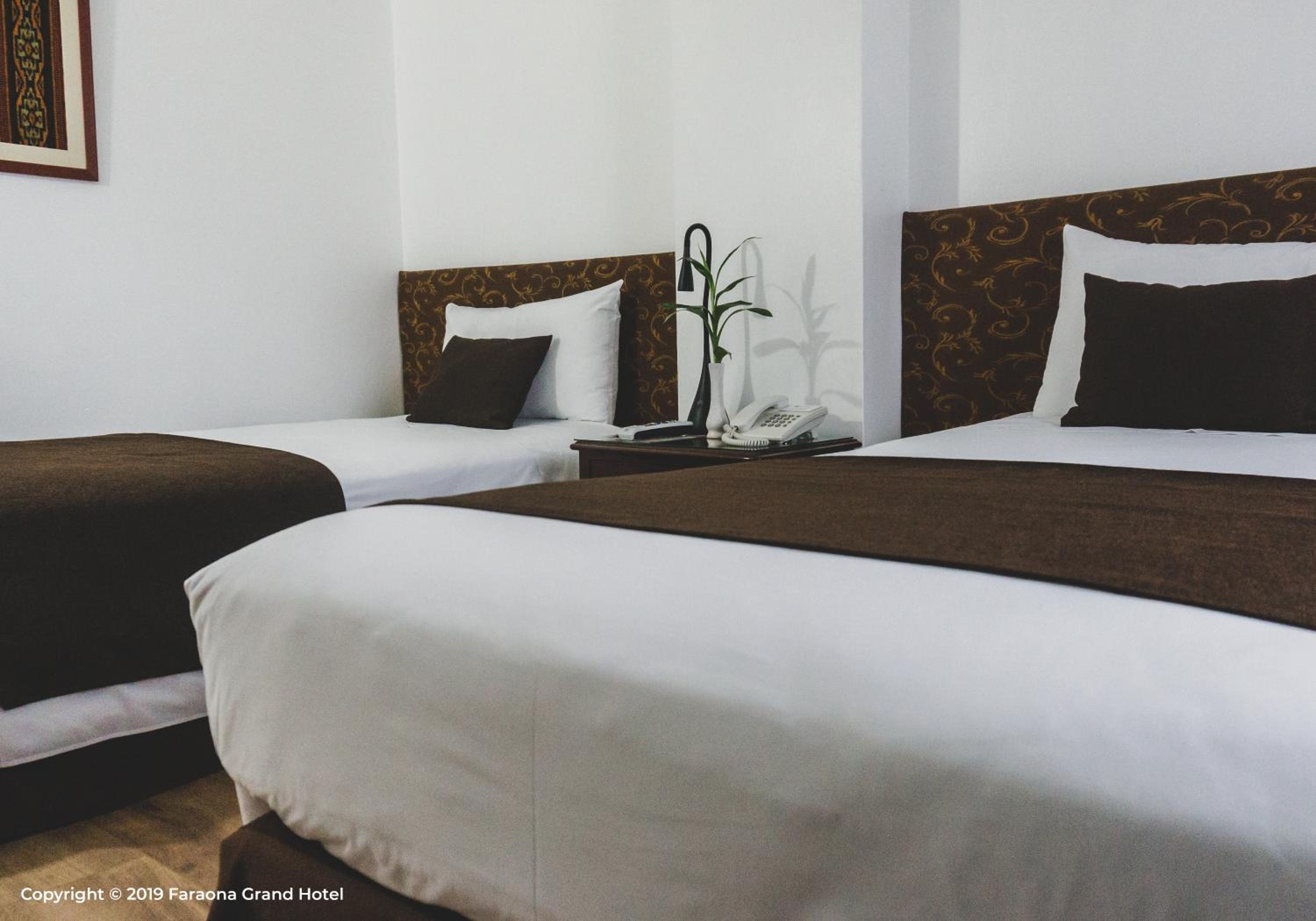 Twin Room photo 2