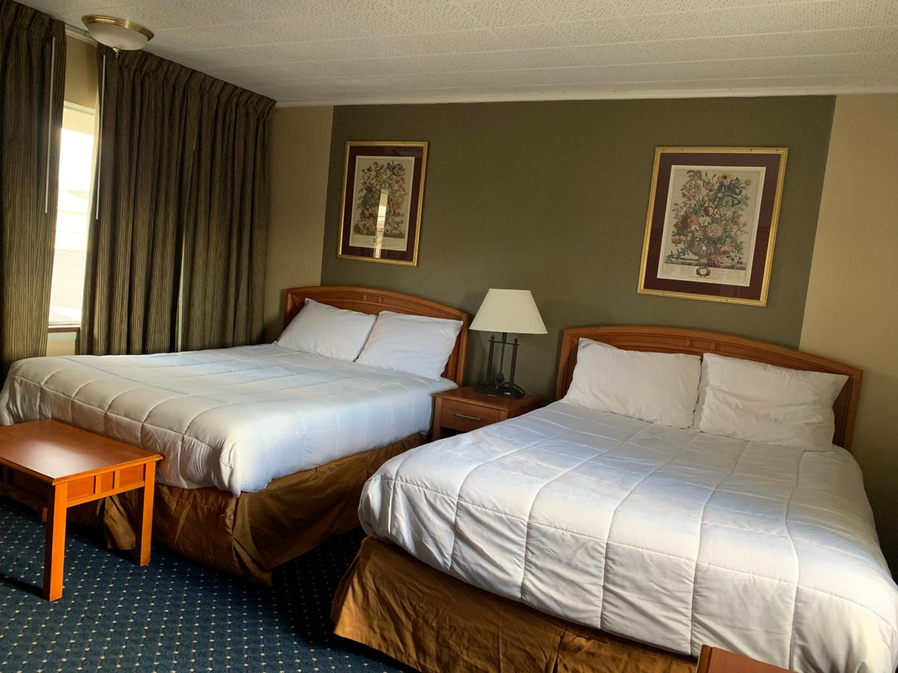 Standard Double Room with Two Double Beds - Photo 3