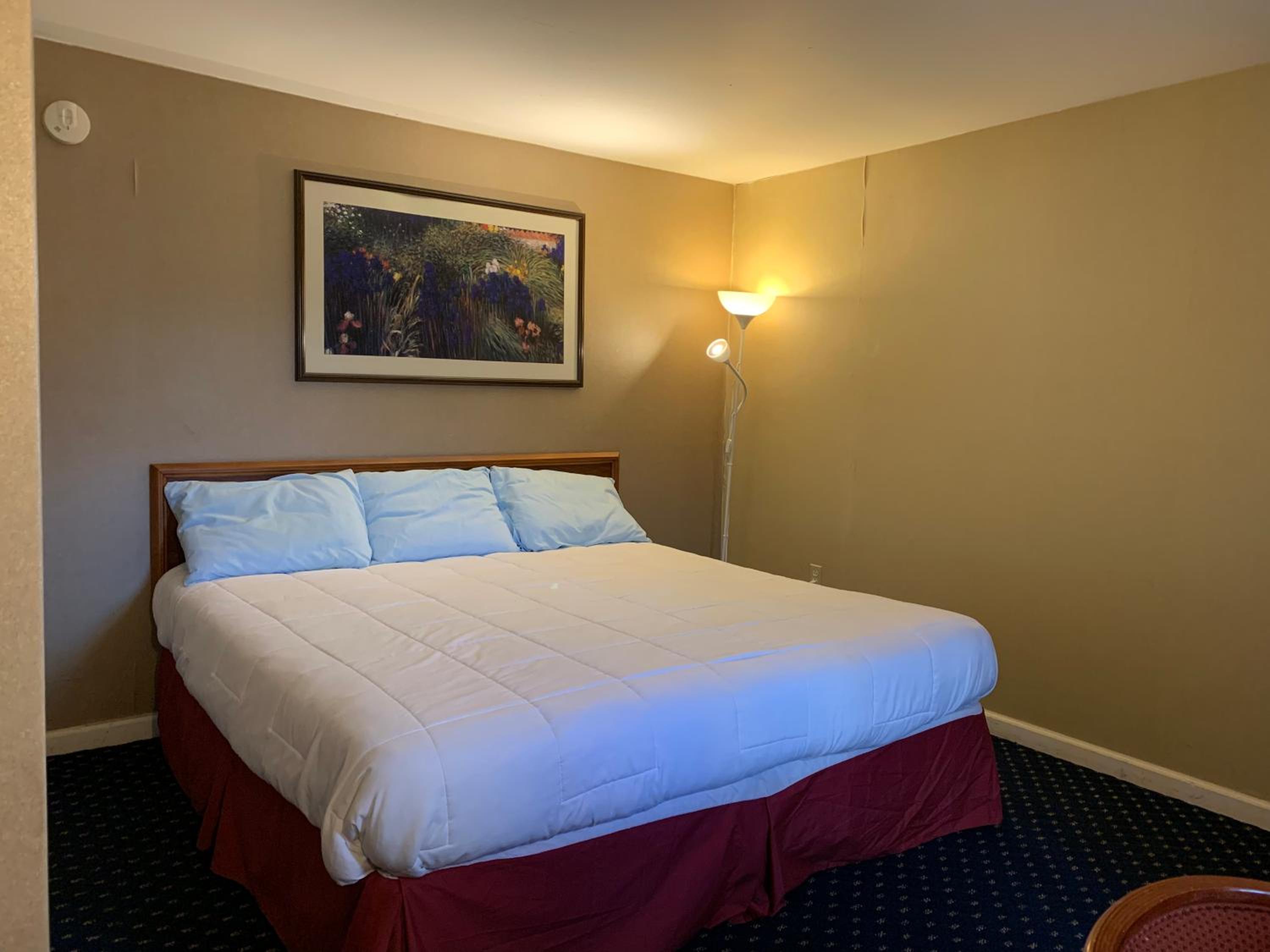 Standard King Room - Photo 2