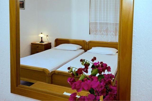 Twin Room photo 3