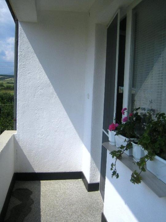 Twin Room With Terrace photo 2