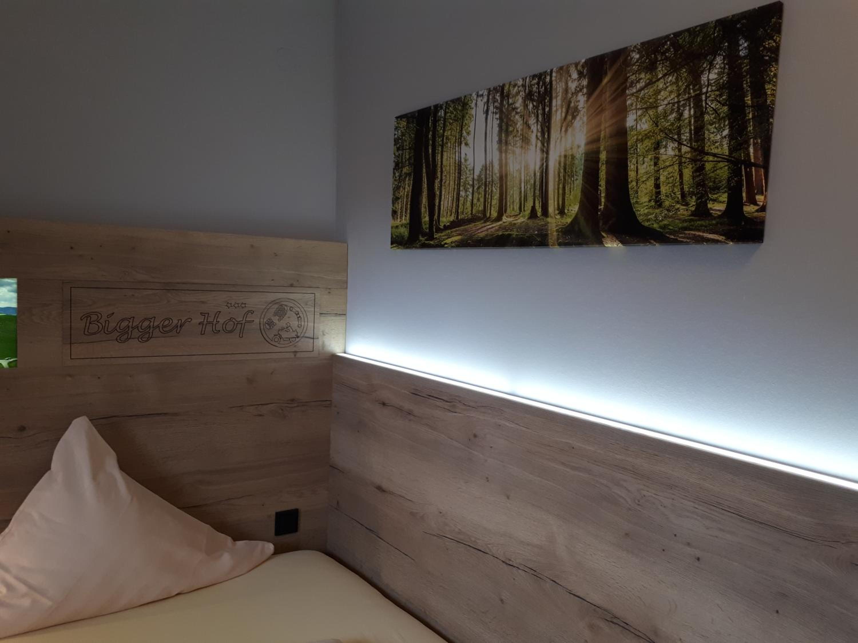 Deluxe Single Room photo 2