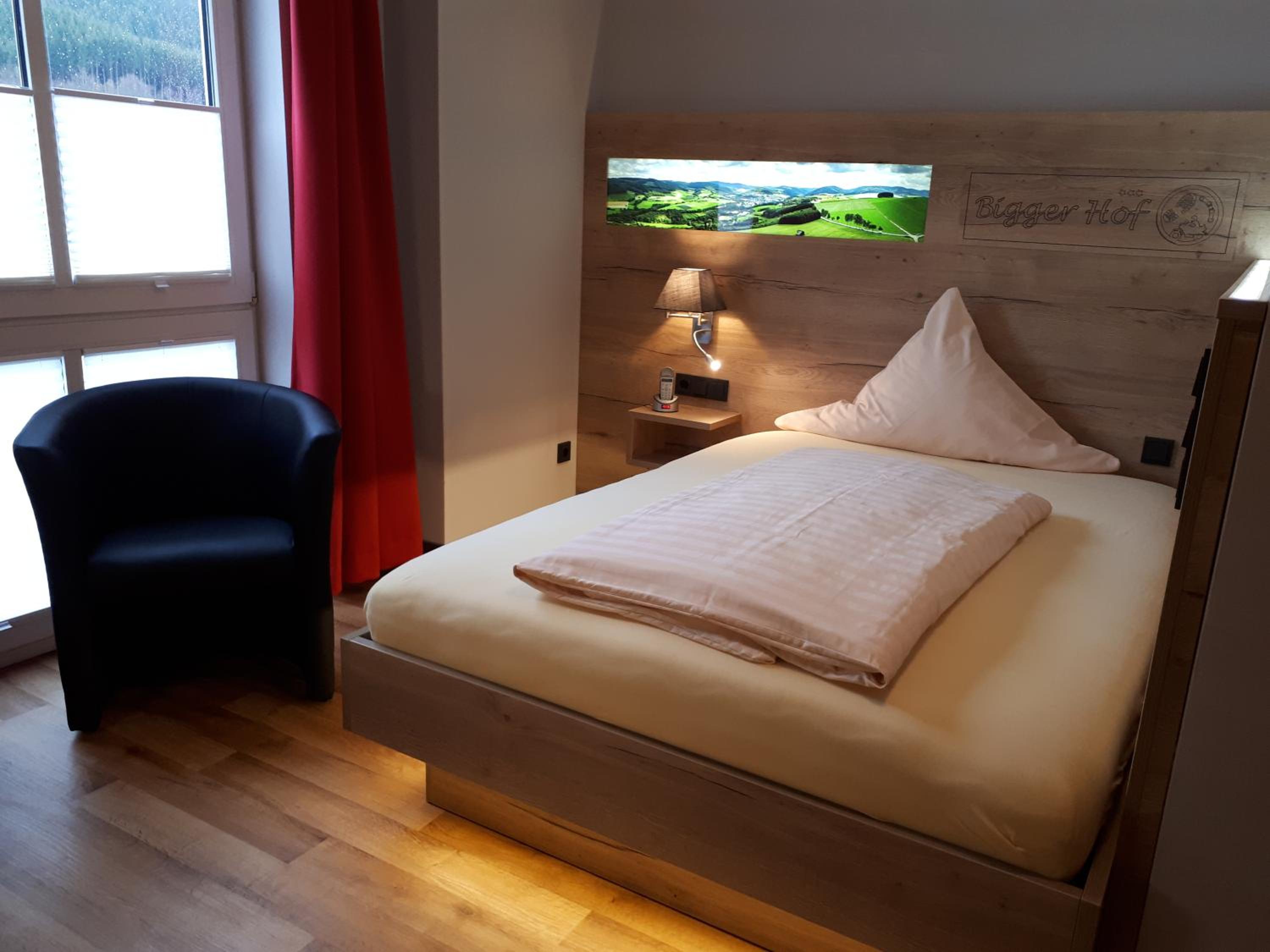 Deluxe Single Room photo 3