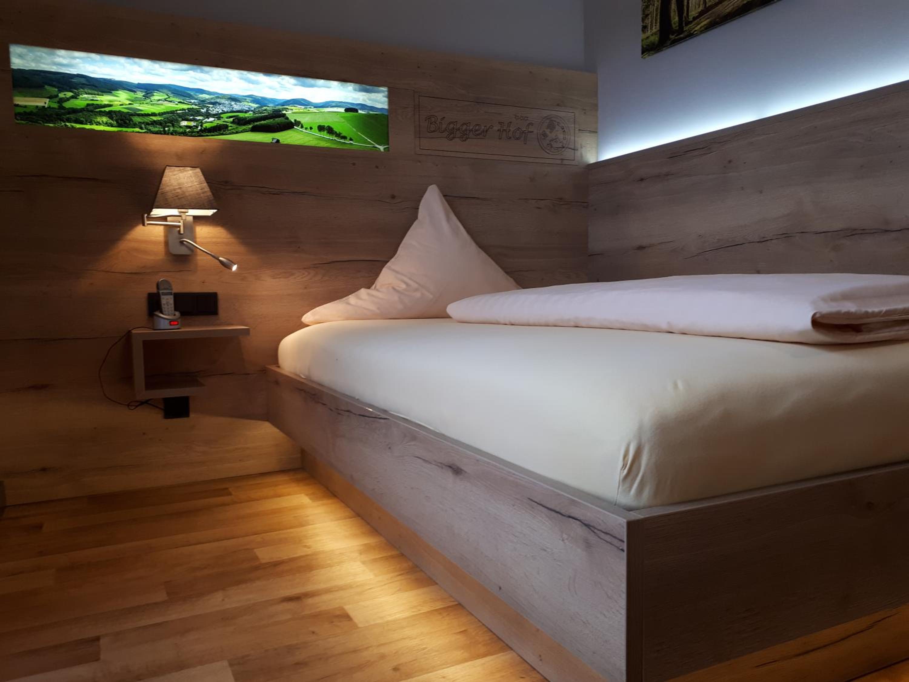 Deluxe Single Room photo 3