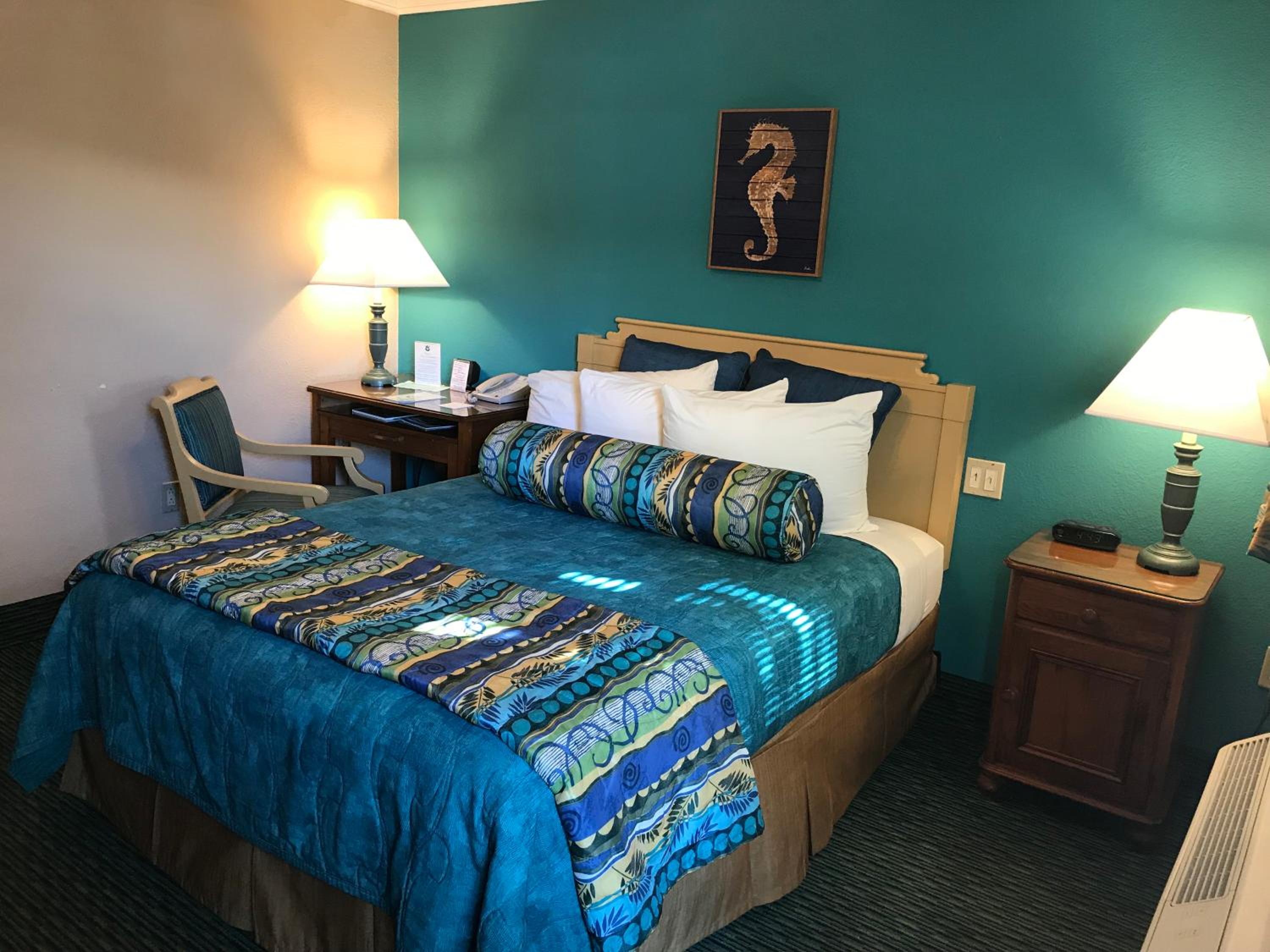 Queen Room - Disability Access photo 3