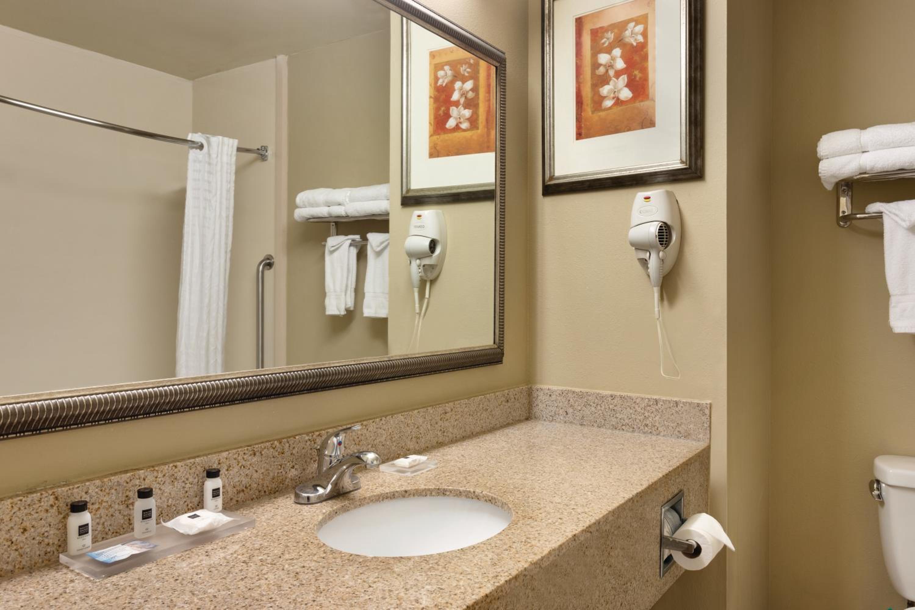 King Room - Non-Smoking - Photo 4