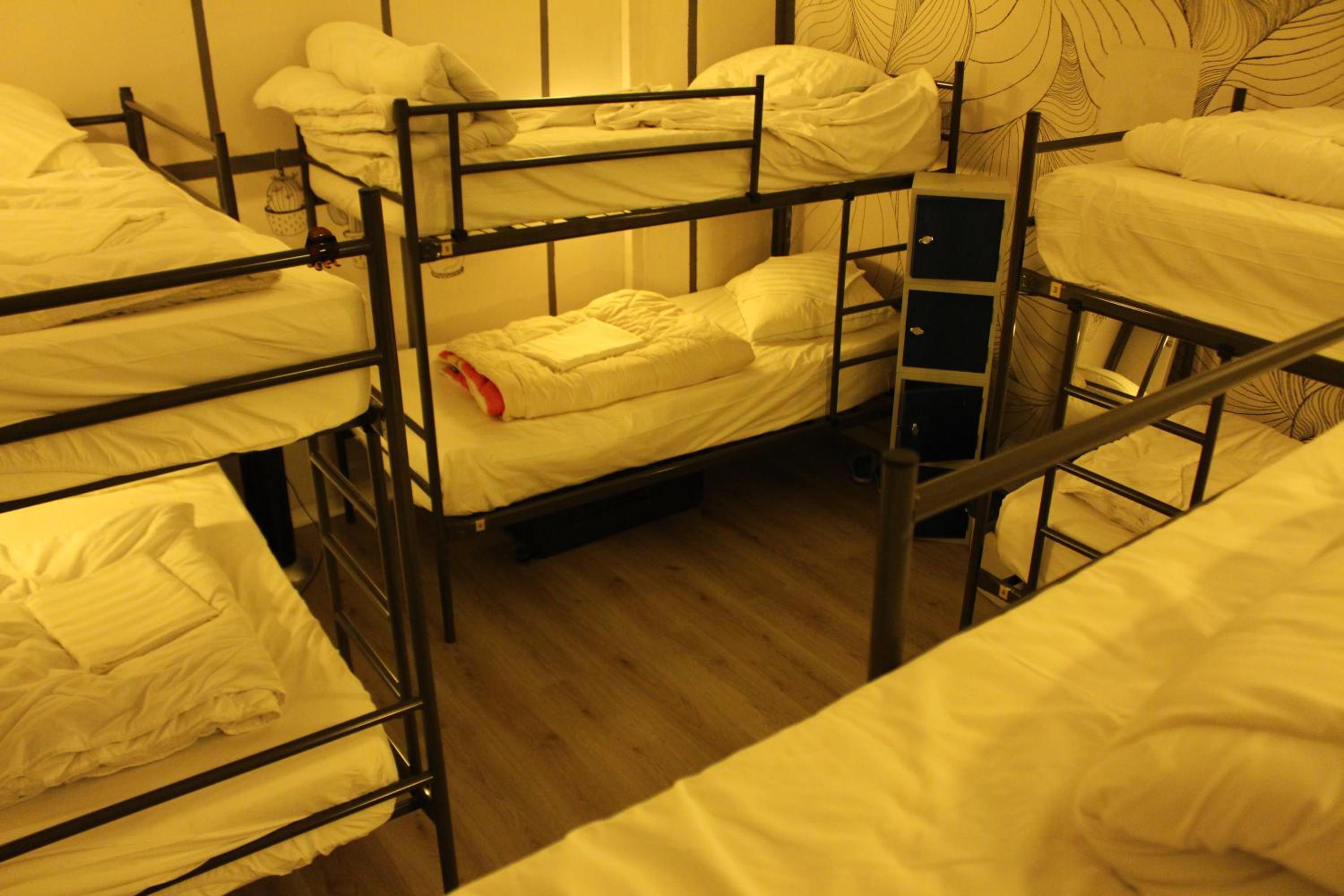 Bunk Bed in 8-Bed Female Dormitory Room photo 1