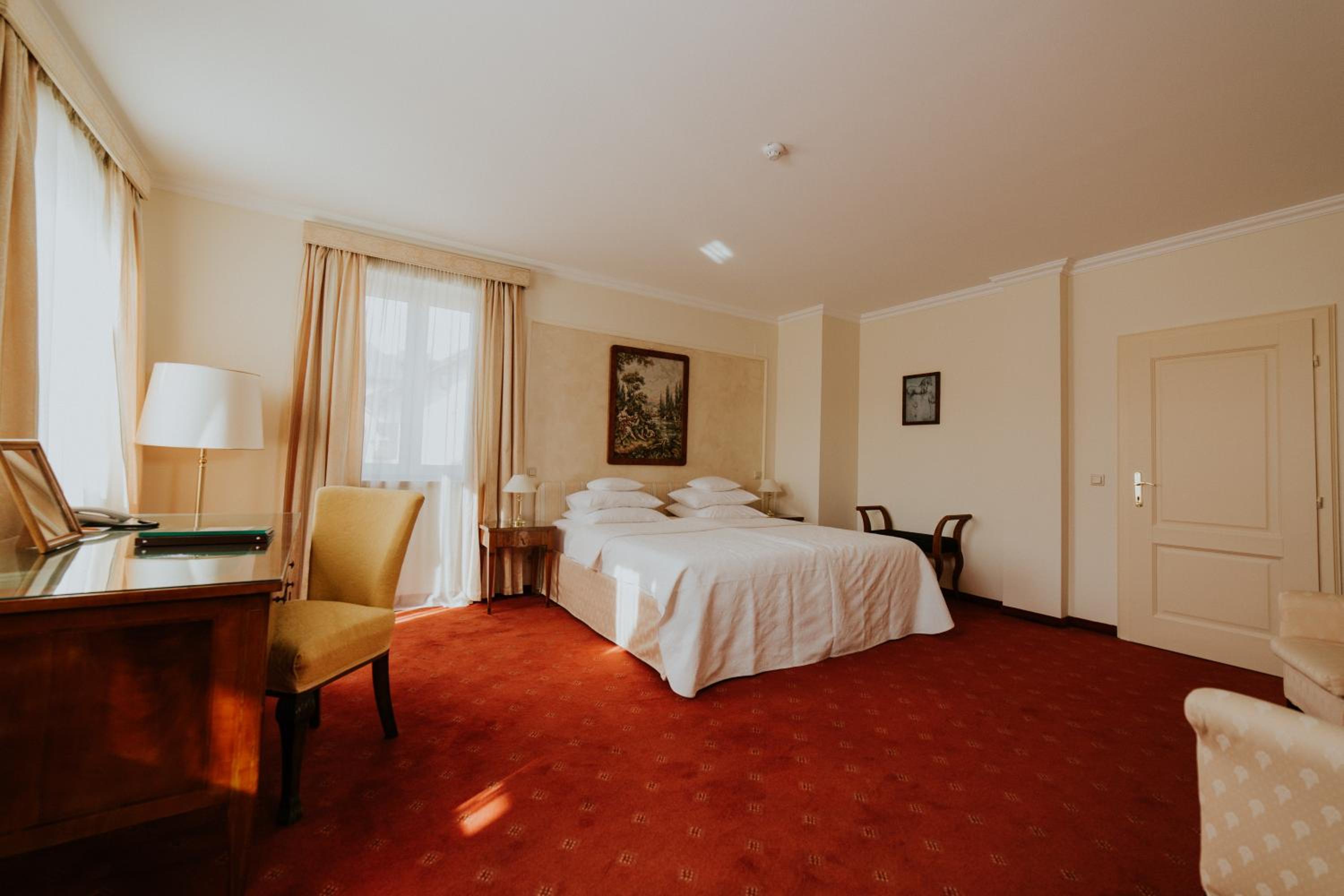 Suite - Photo 1