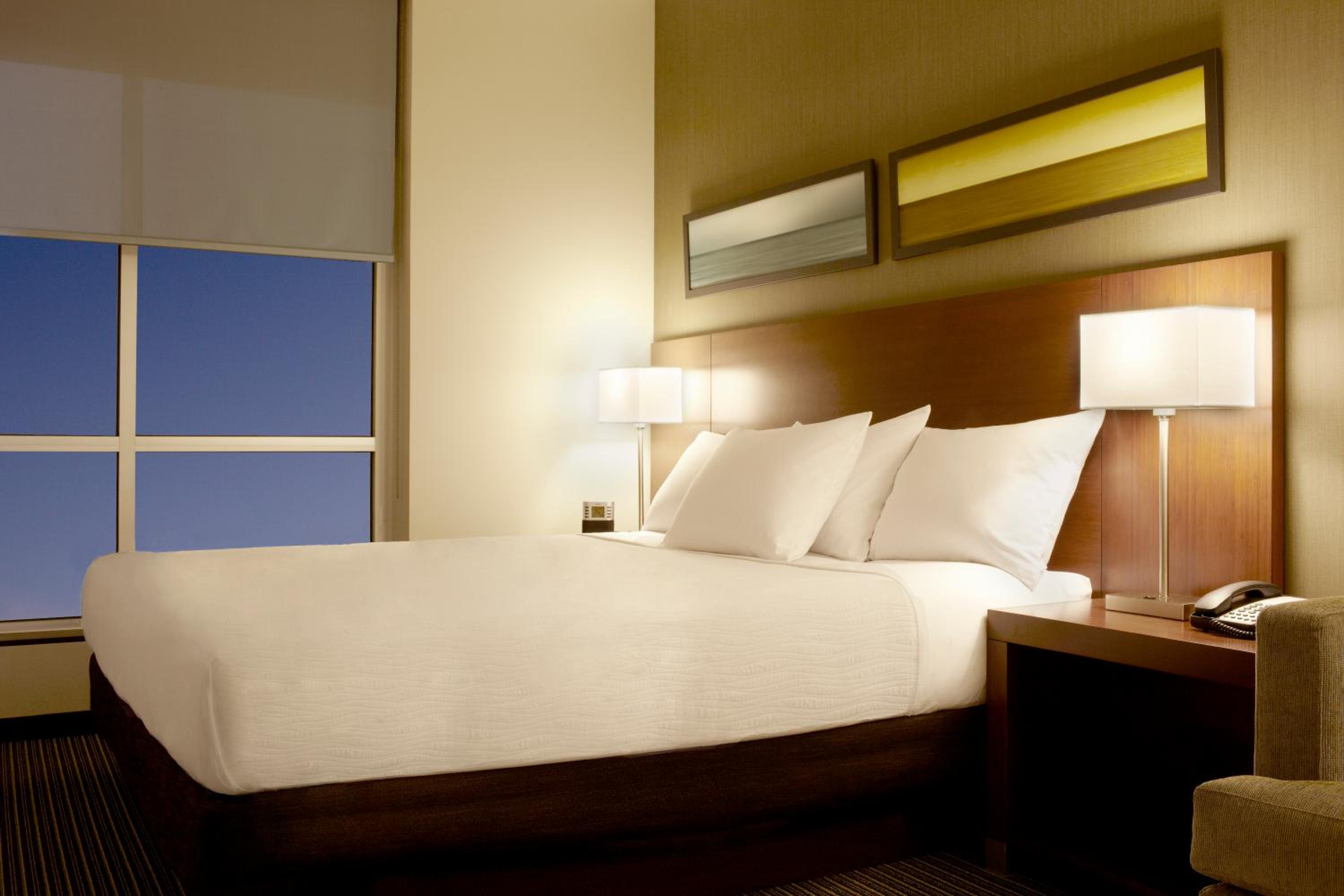 One-Bedroom King Suite with Sofa Bed photo 1