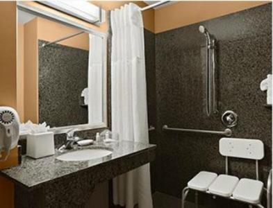 One-Bedroom King Suite with Mobility Accessible Roll-In Shower - Photo 2
