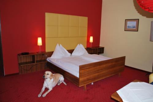 Standard Double Room - Photo 6