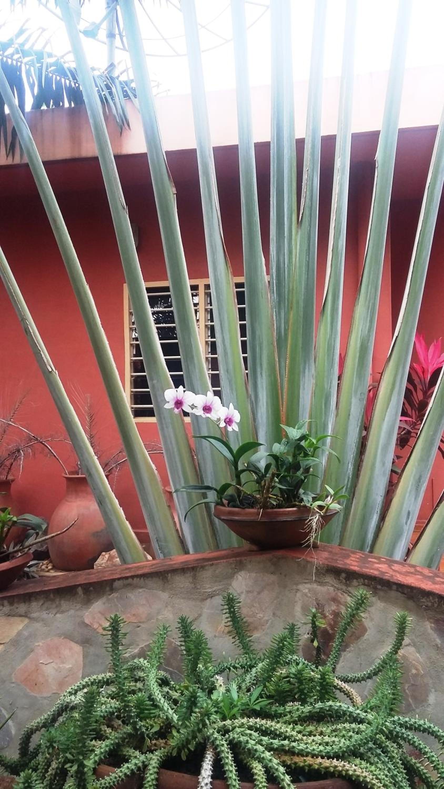 Double Room with Garden View photo 2
