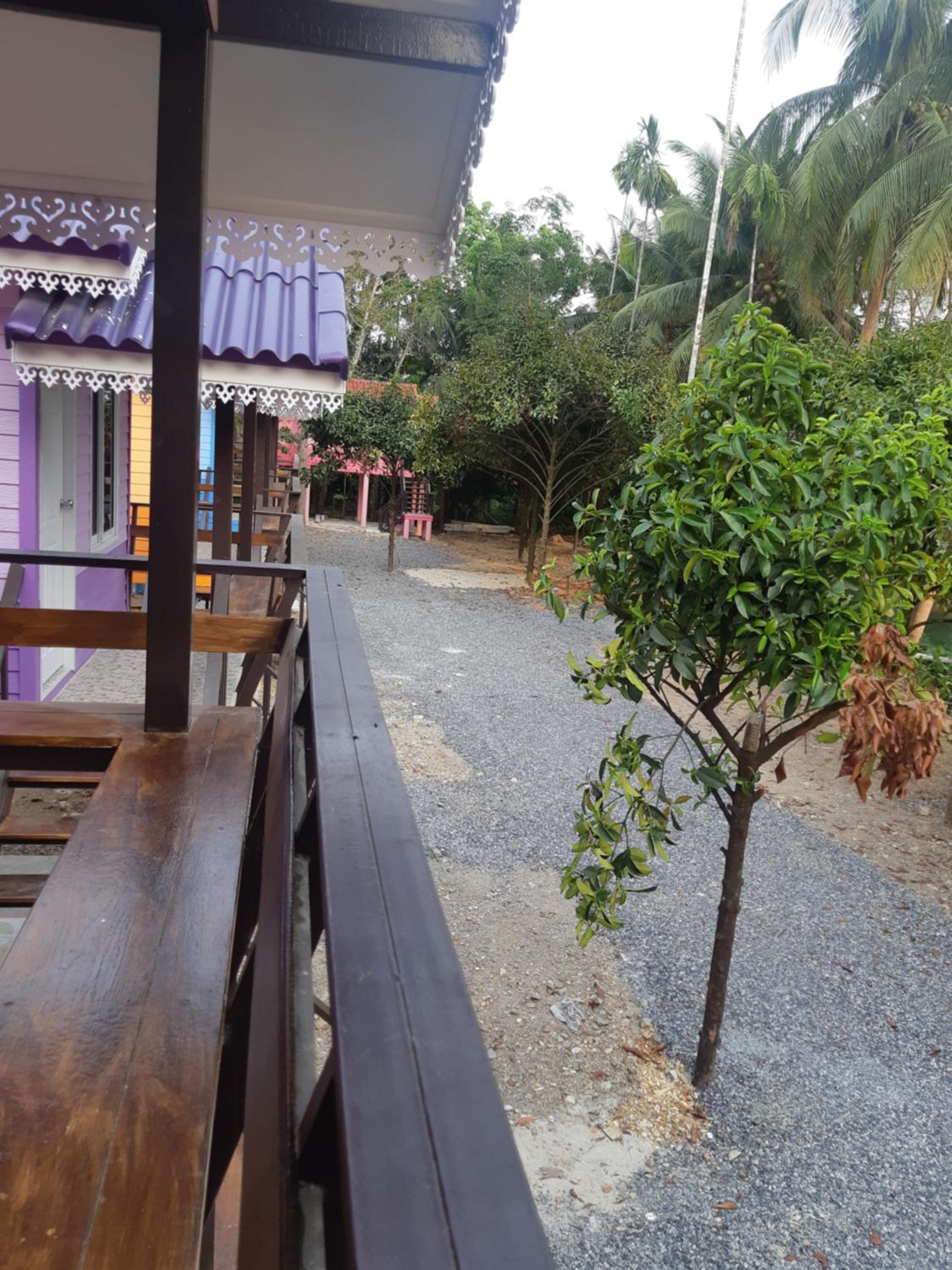King Room with Garden View