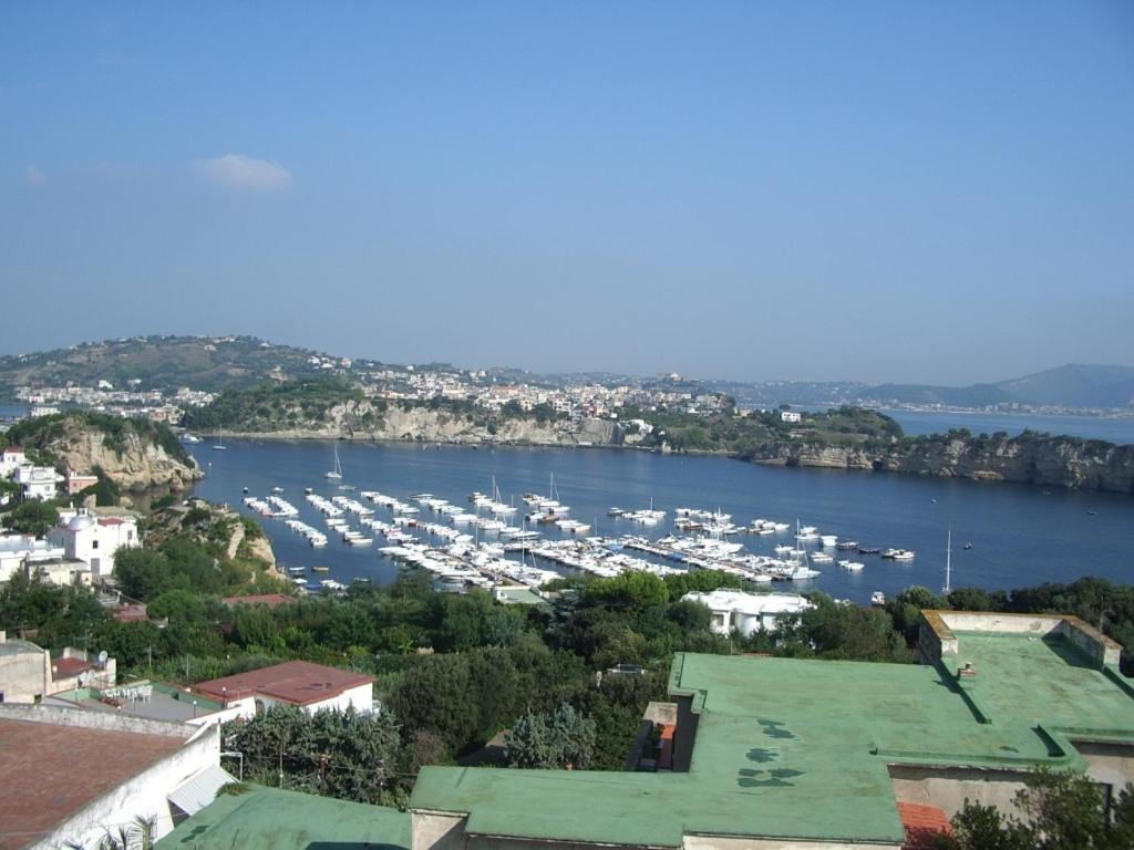 Junior Suite with Sea View photo 2