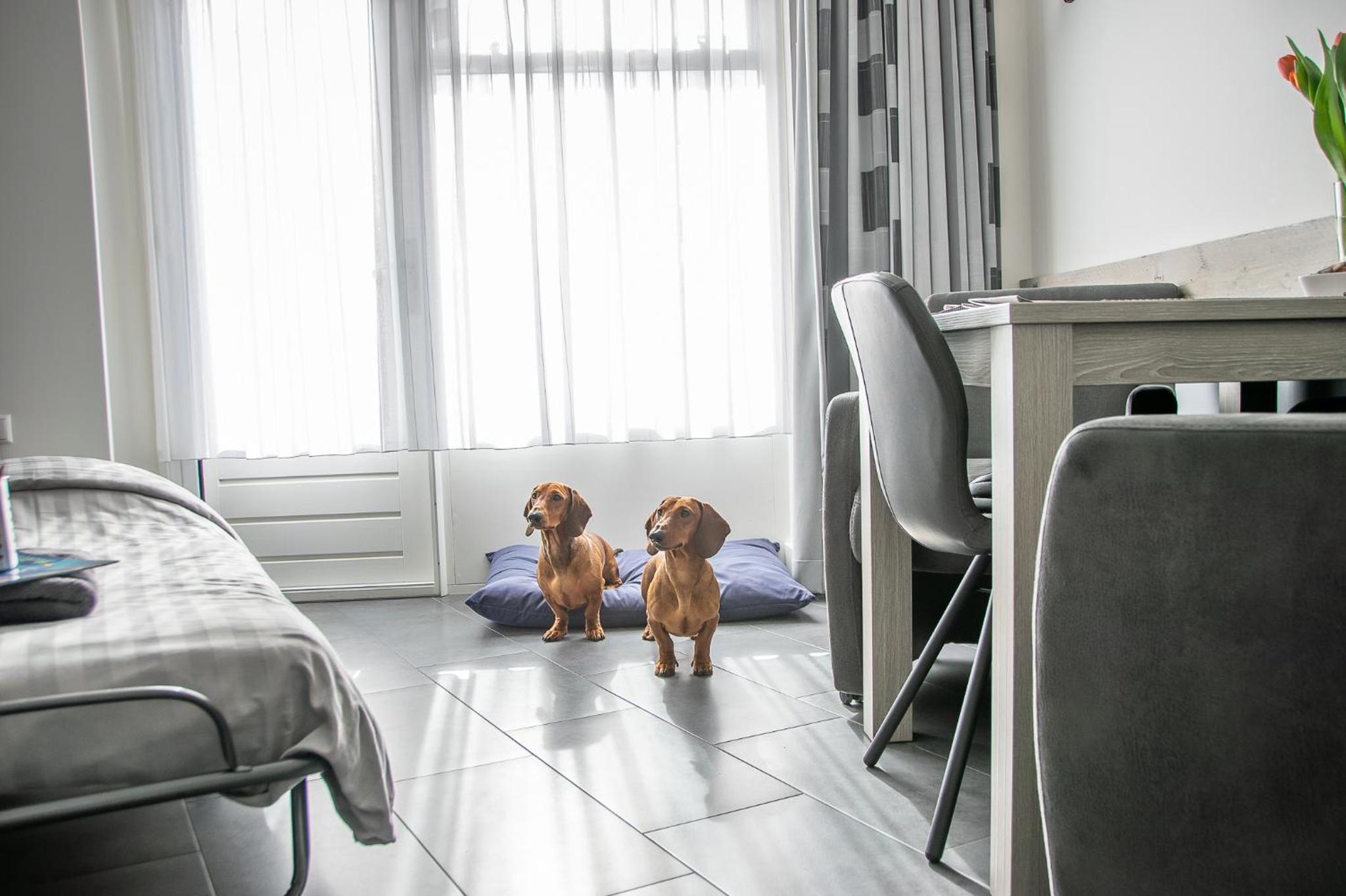 Deluxe Double or Twin Room with Garden View - Photo 25