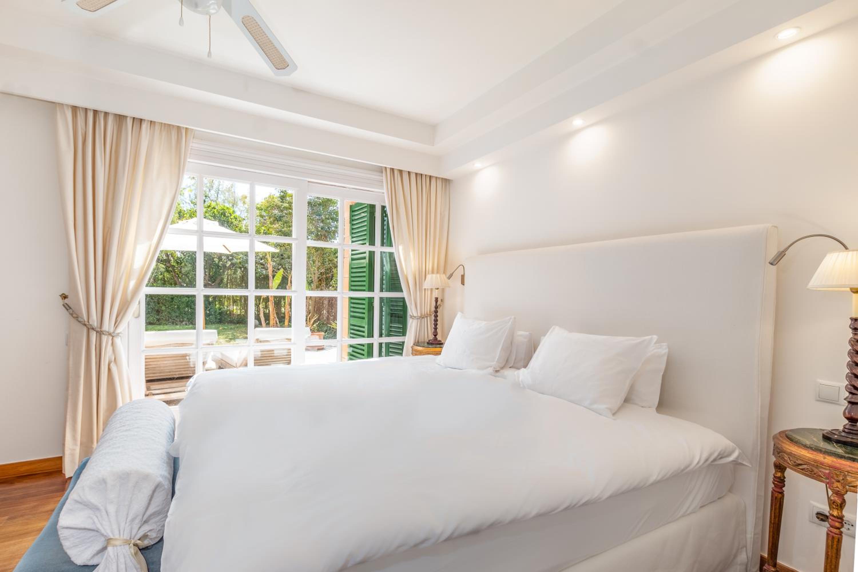Suite with Terrace photo 2