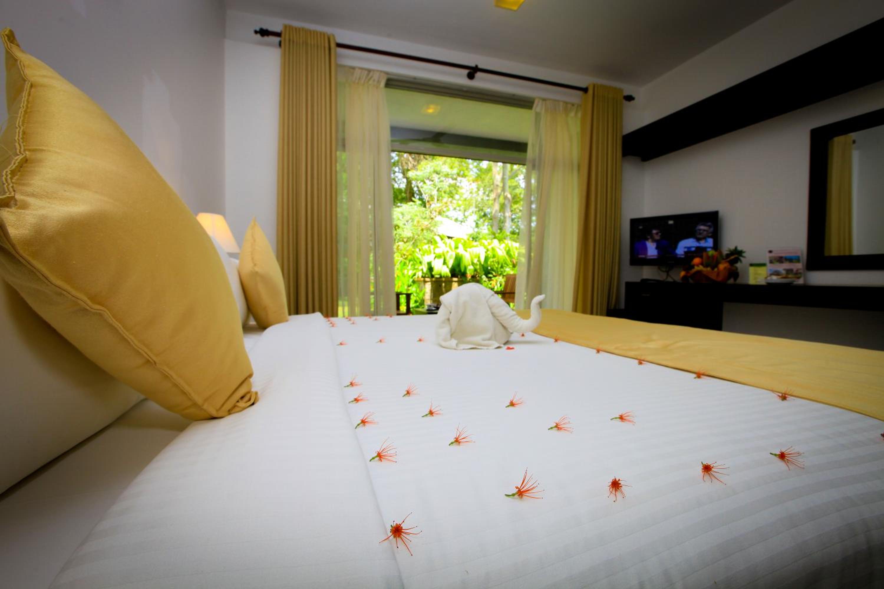 Deluxe Double or Twin Room with safari