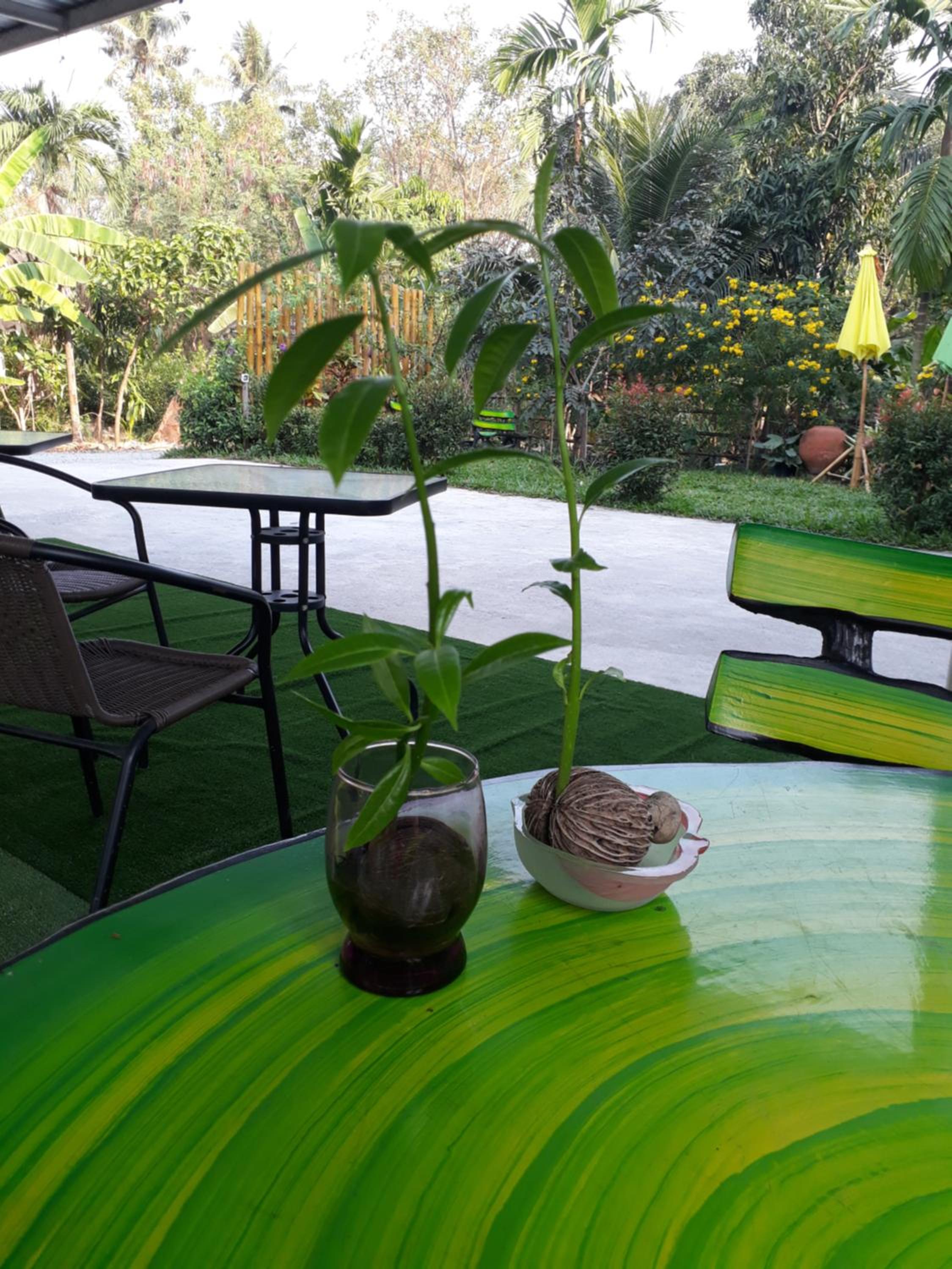 King Room with Garden View - Photo 36