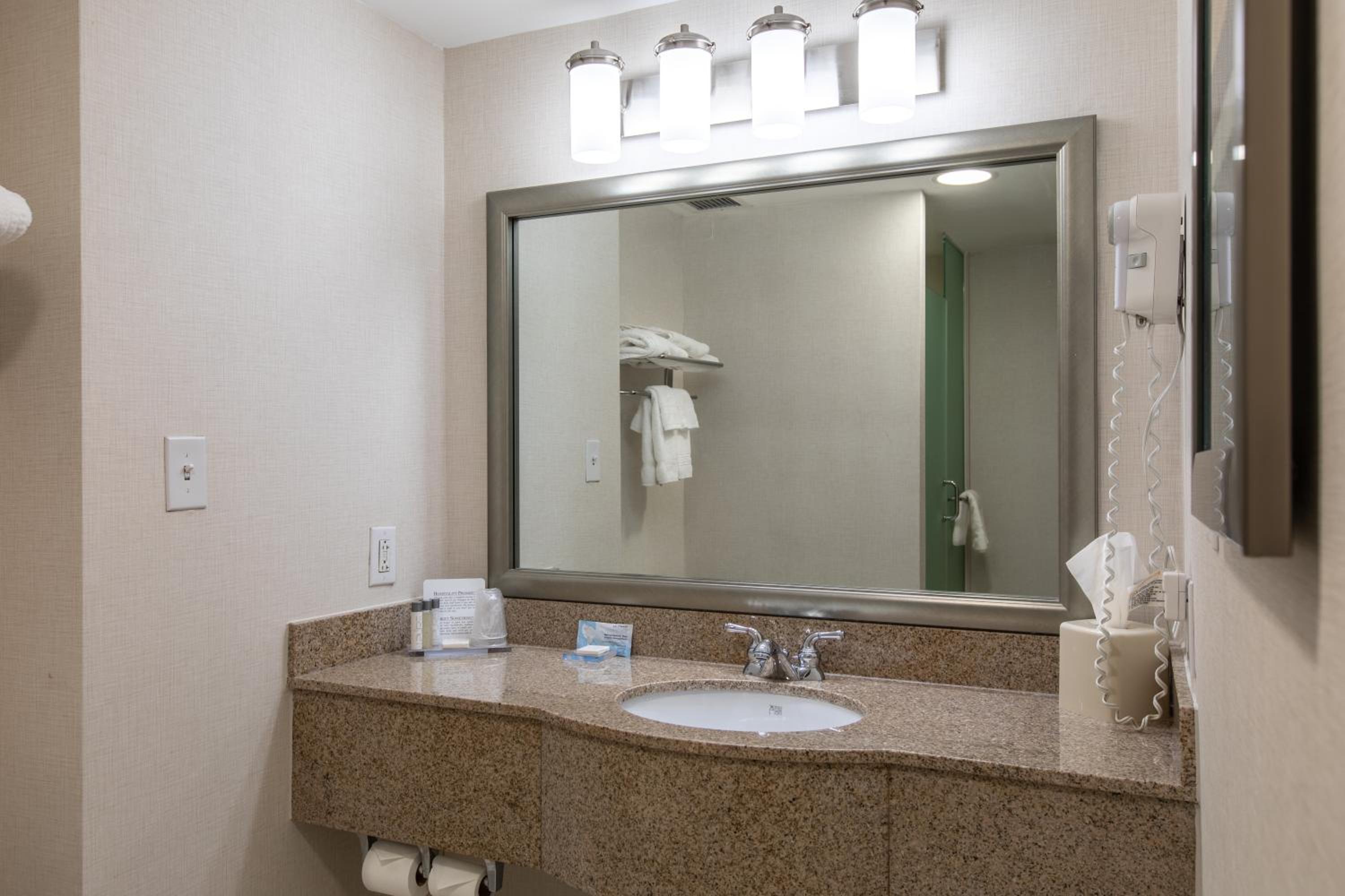 Deluxe King Suite - Photo 3
