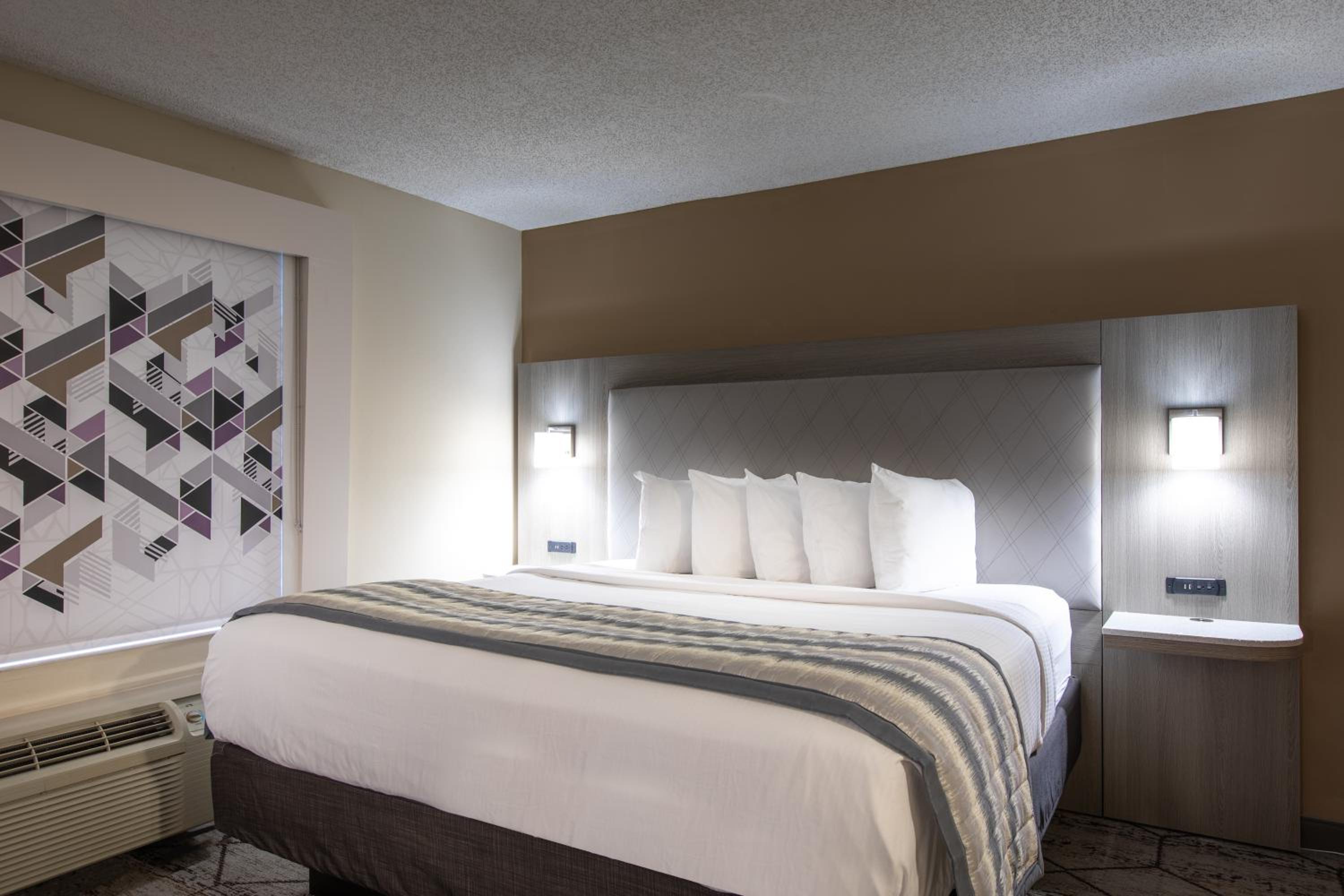 Deluxe King Suite - Photo 5