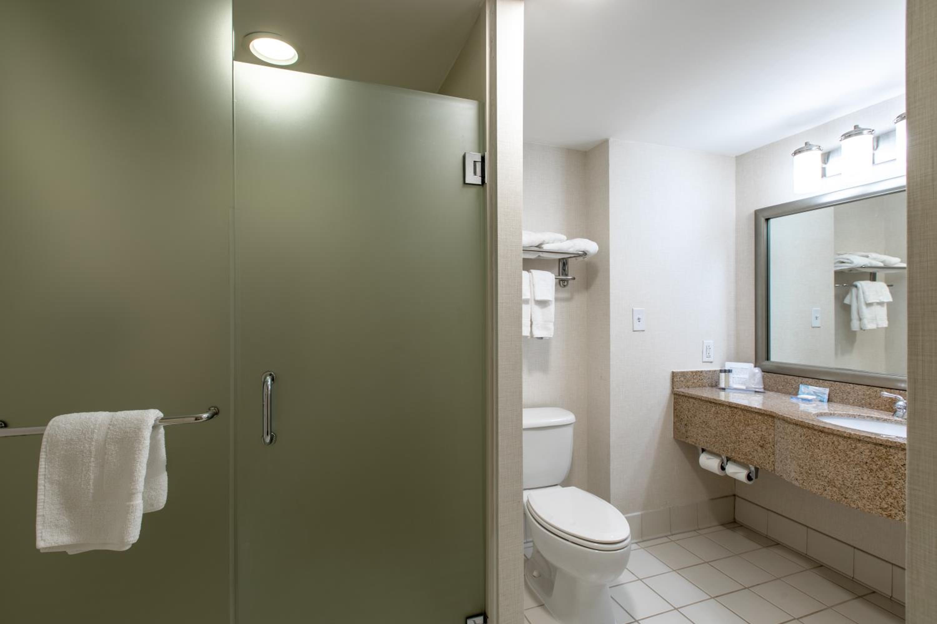 Deluxe King Suite - Photo 8