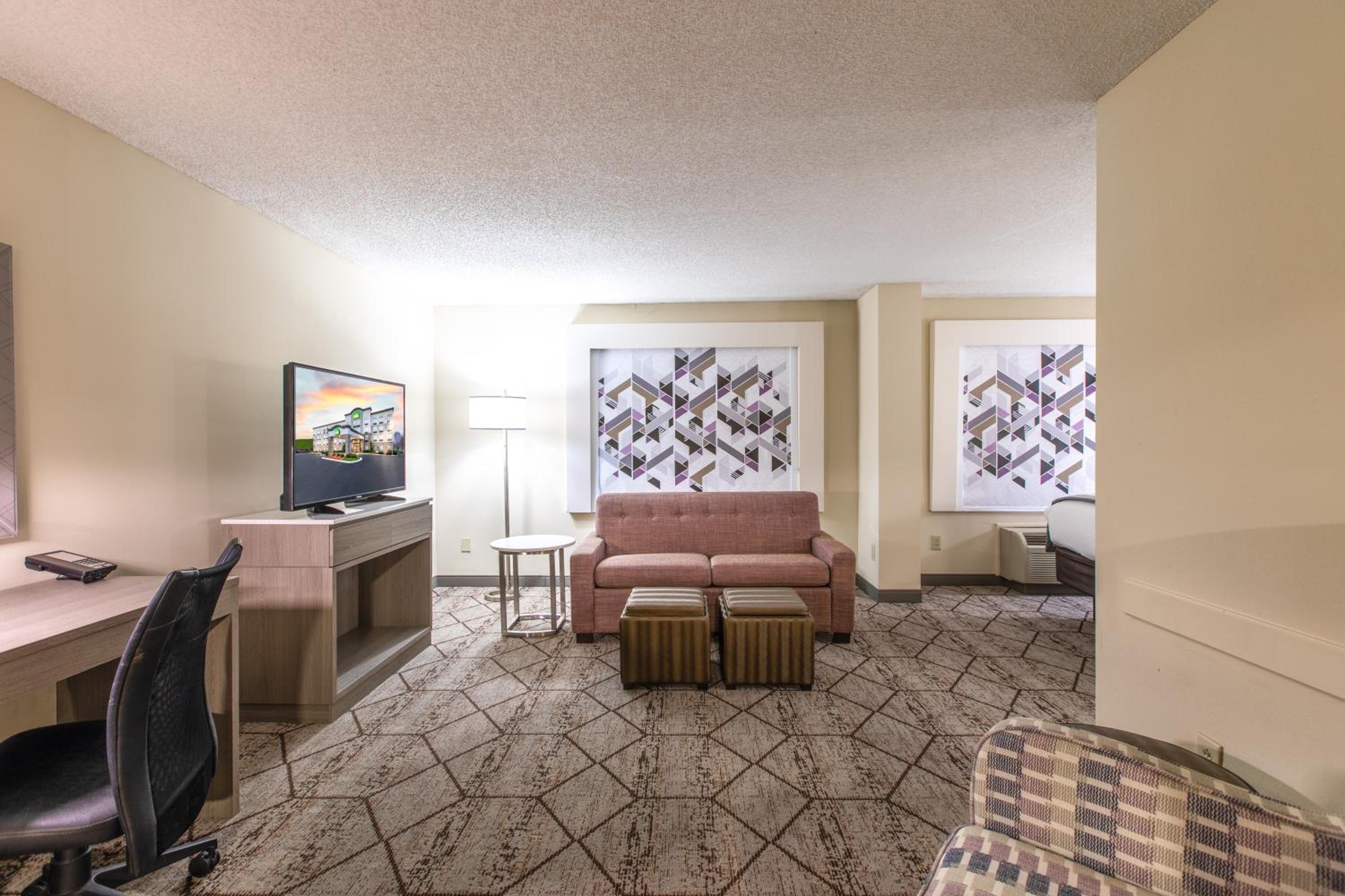 Deluxe King Suite - Photo 10