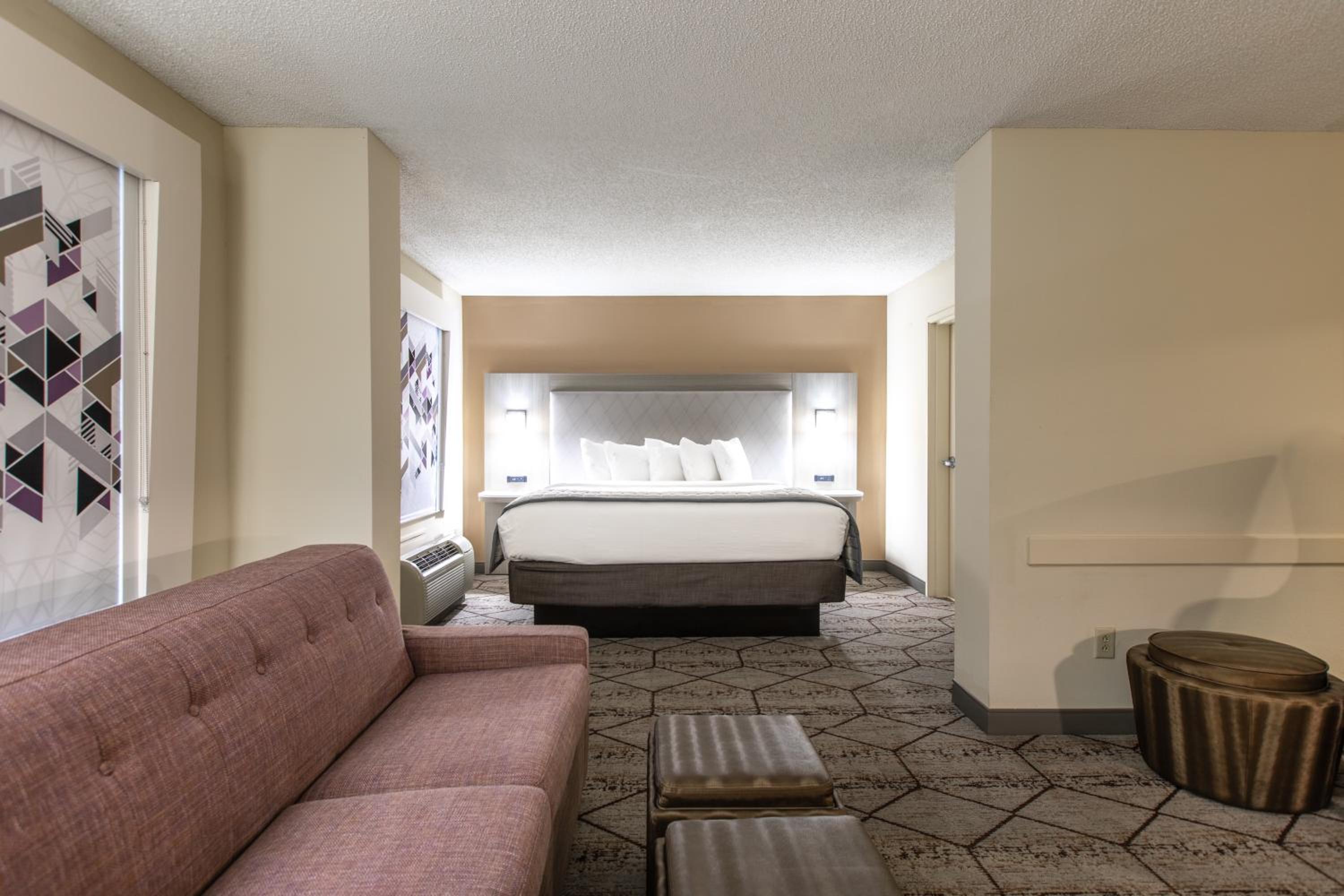 Deluxe King Suite - Photo 11