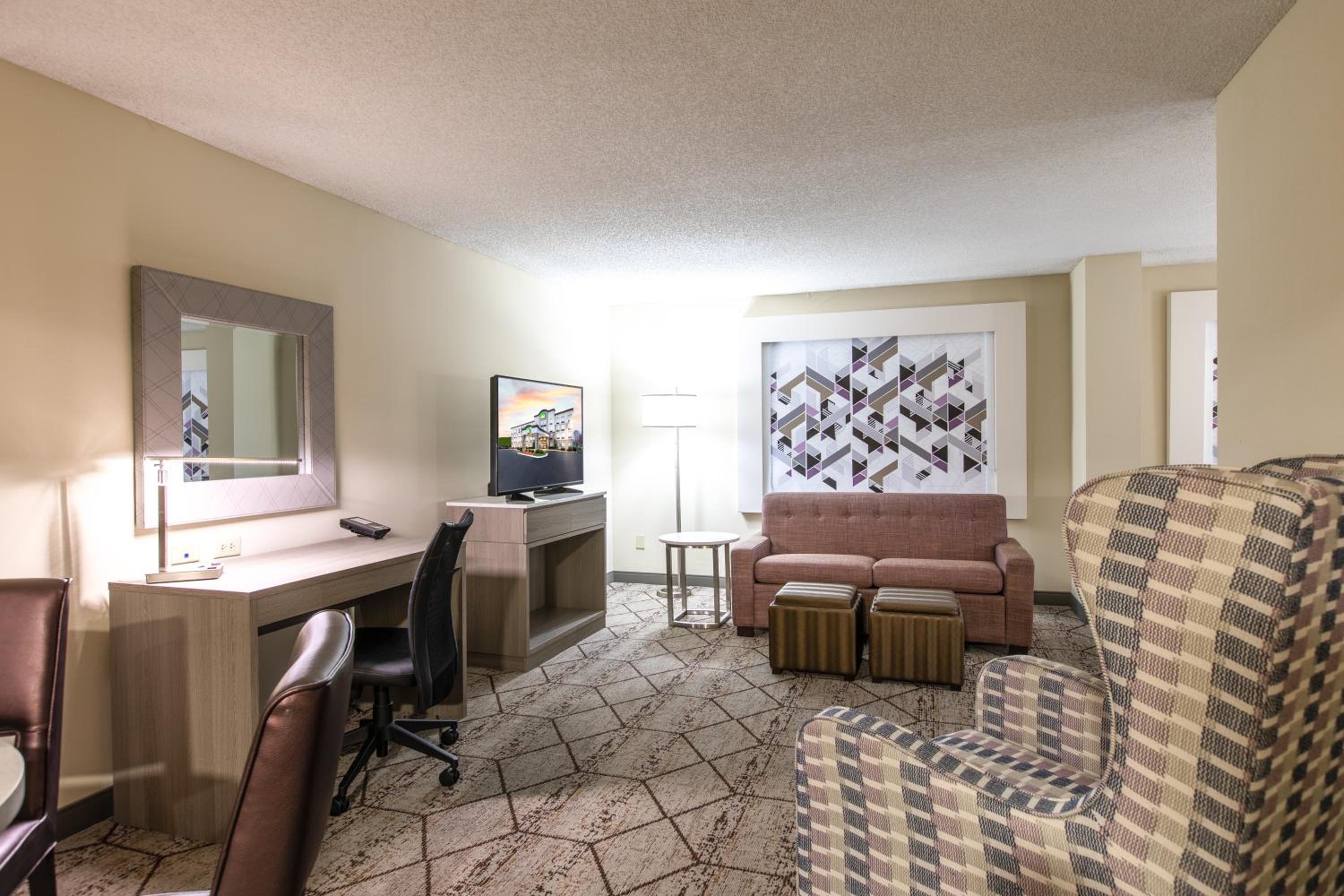 Deluxe King Suite - Photo 13