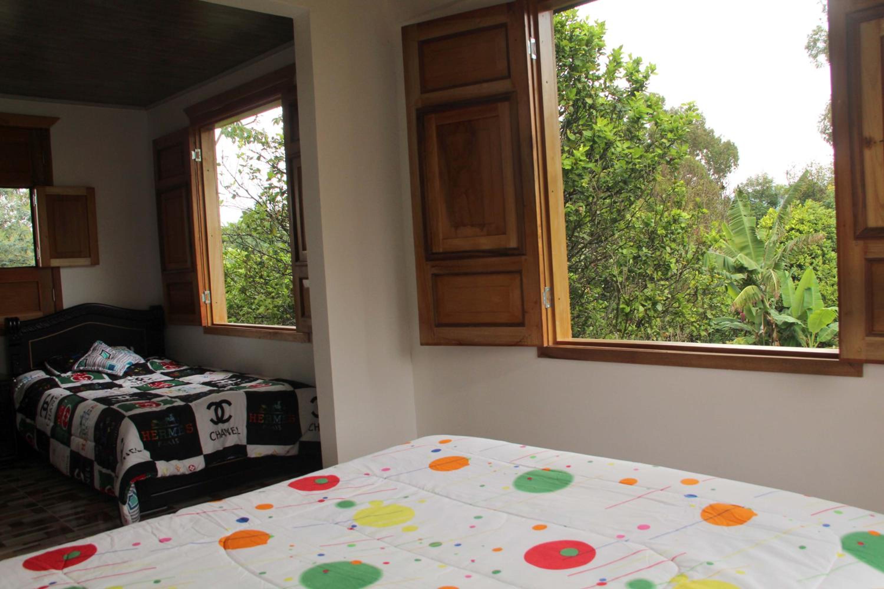 Triple Room photo 1