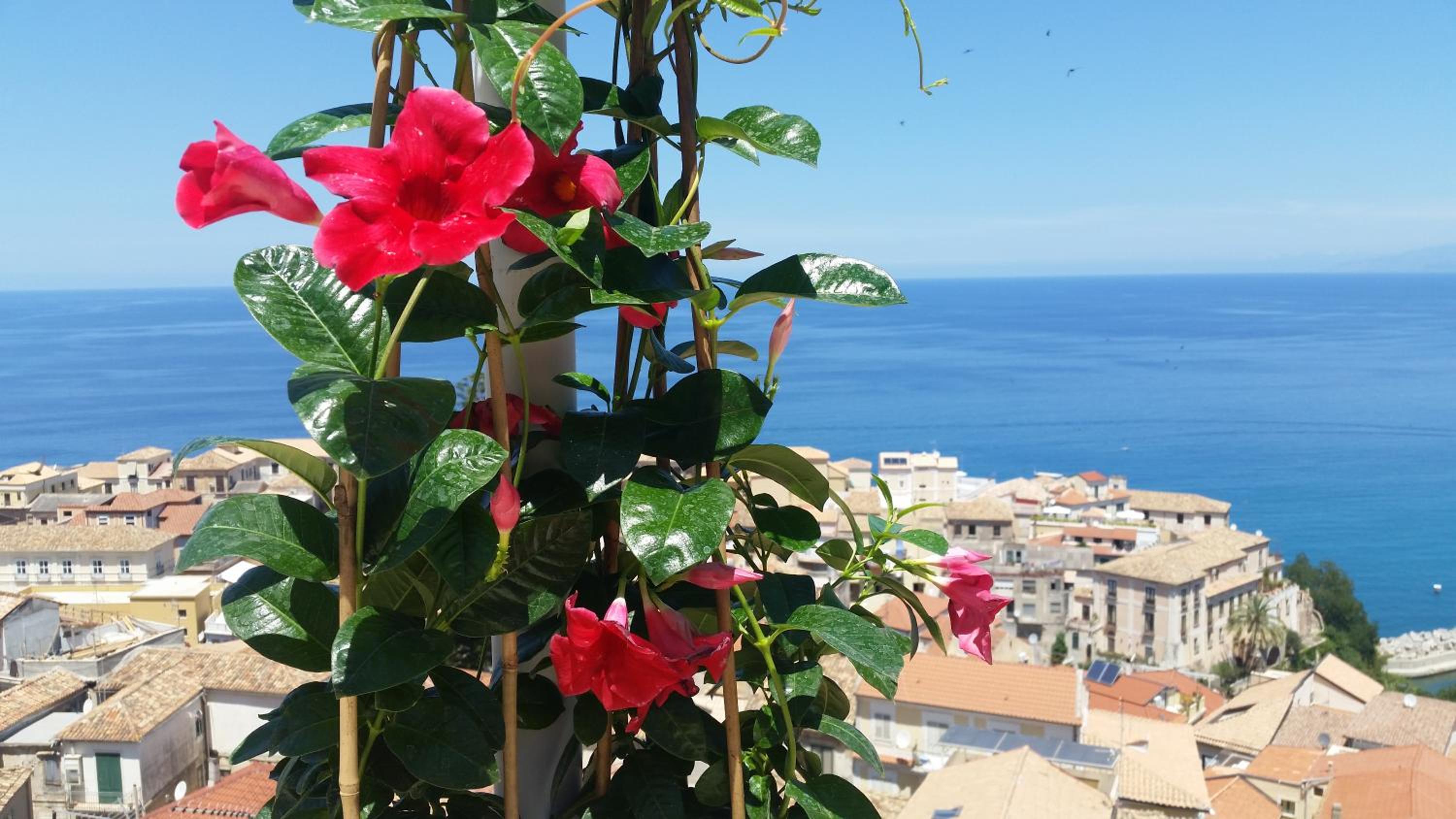Apartment with Sea View - Photo 20