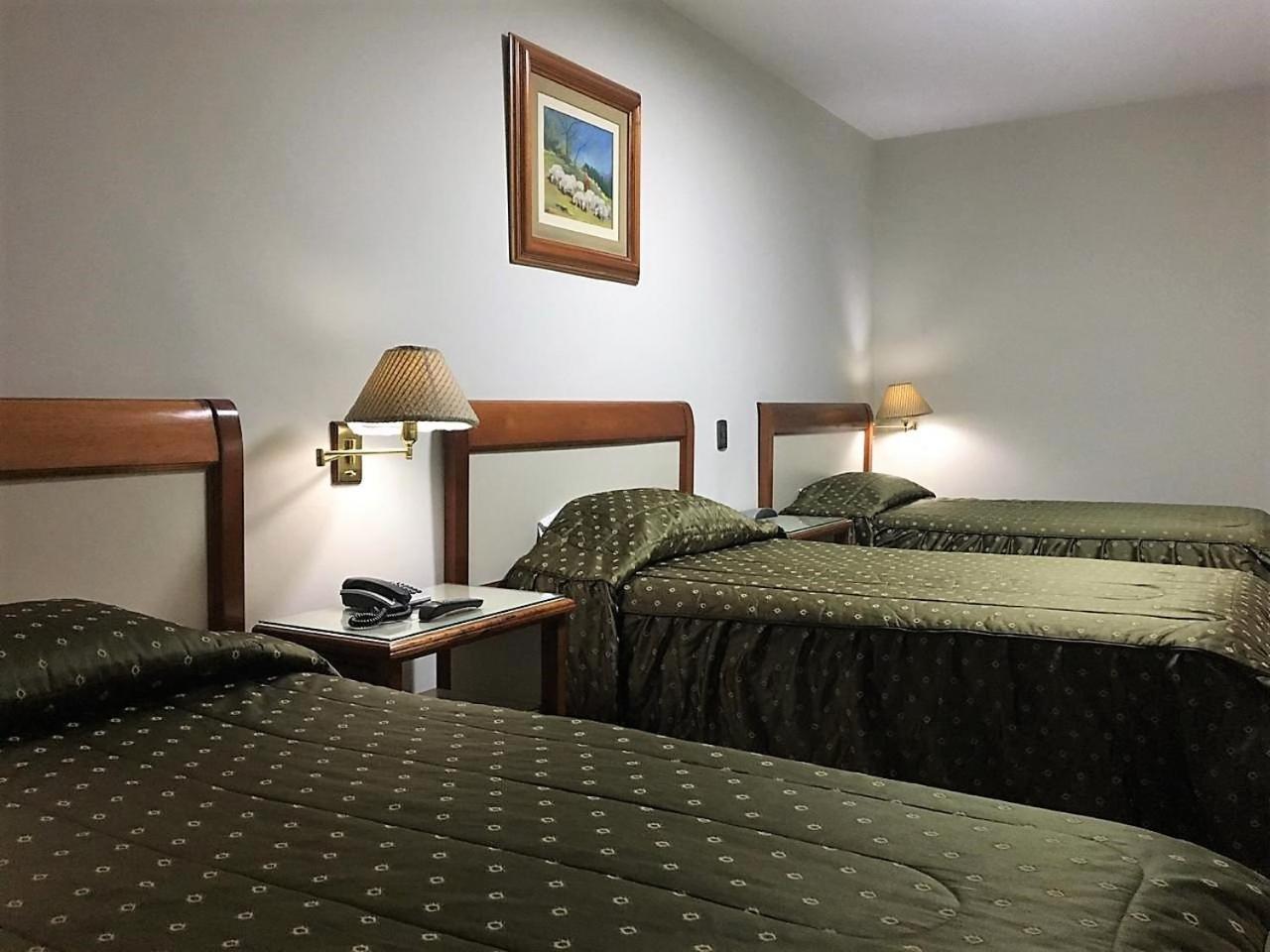 Triple Room photo 3