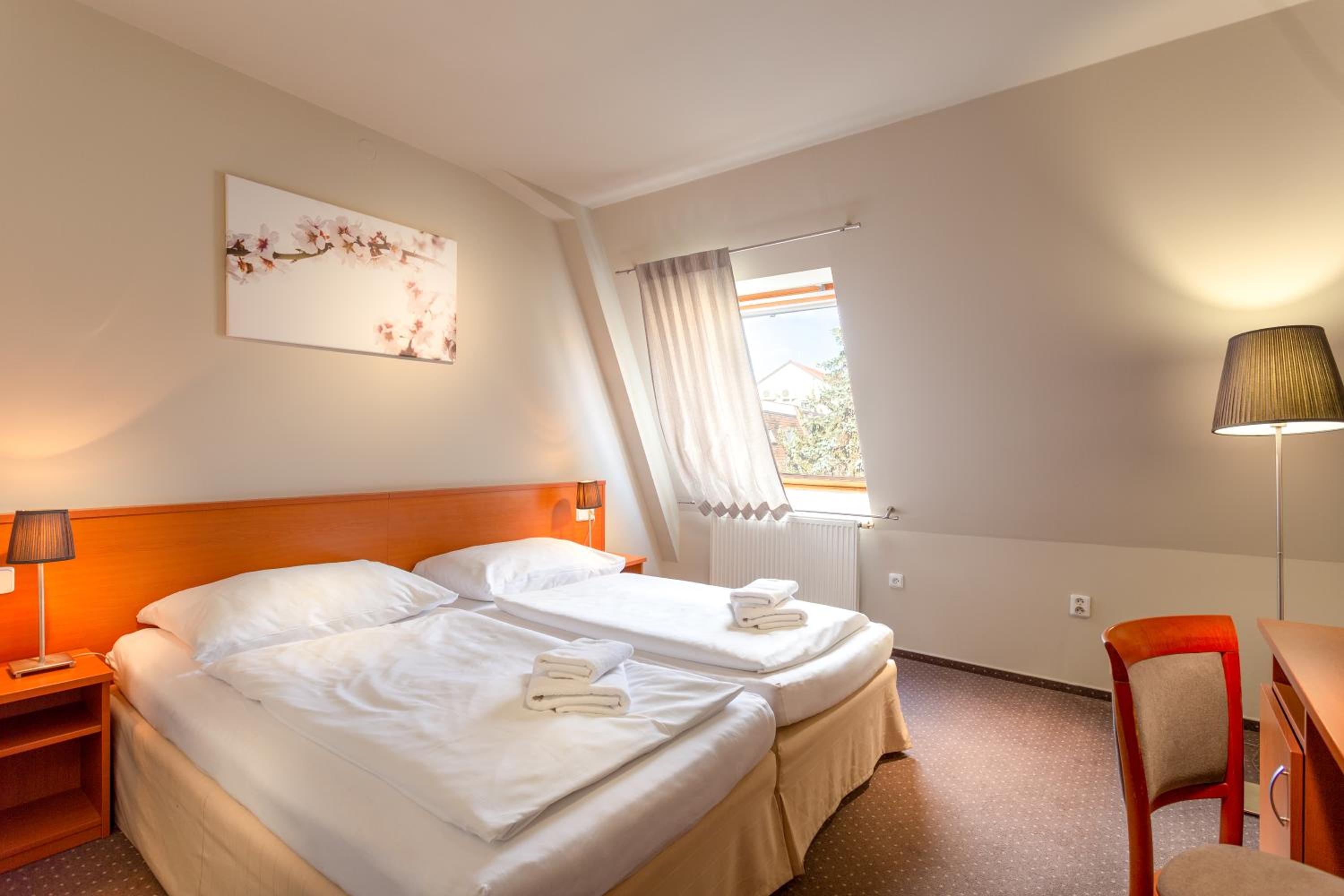 Standard Double or Twin Room with Wellness Access - Photo 3