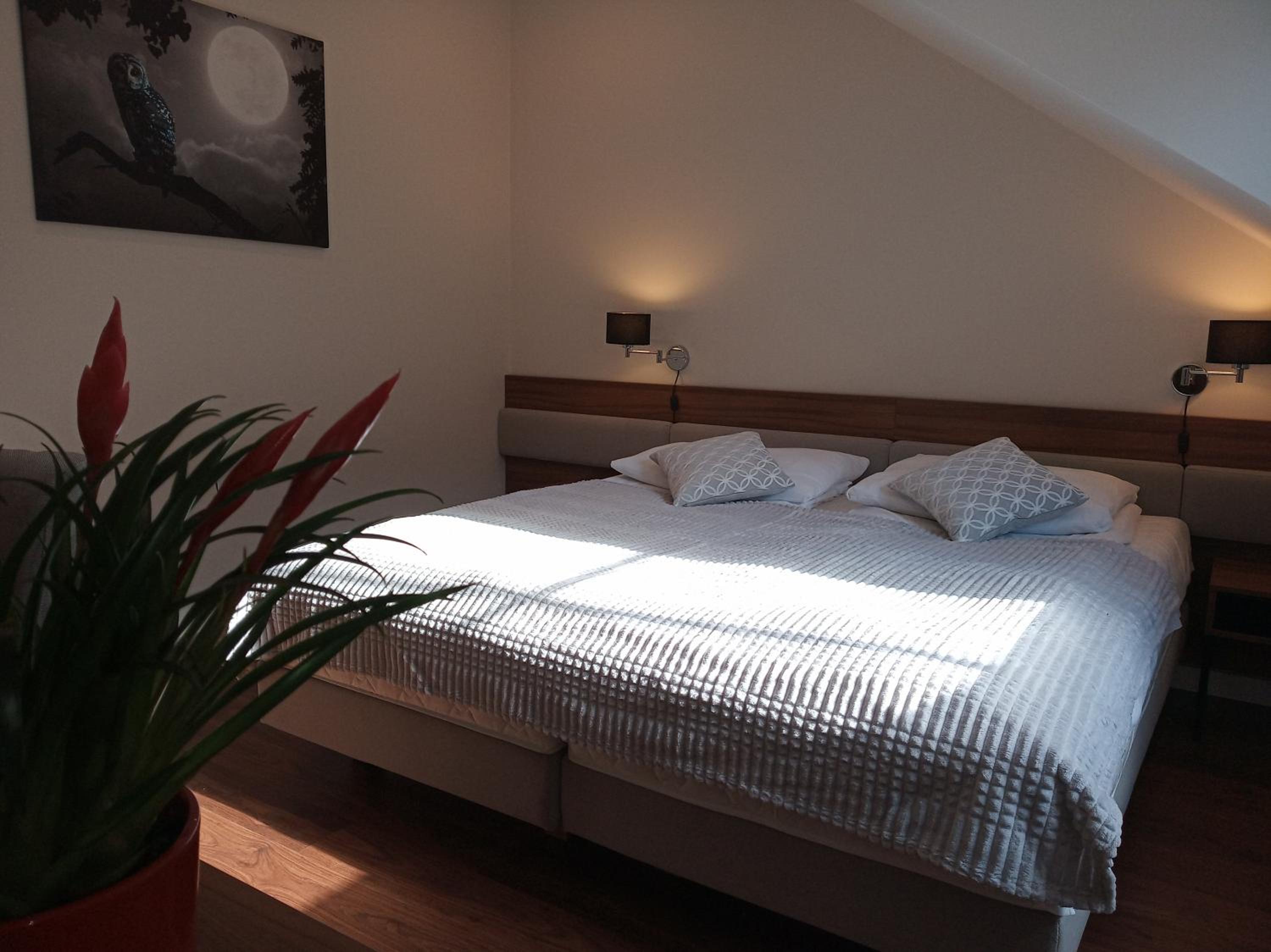 Deluxe Double or Twin Room photo 2