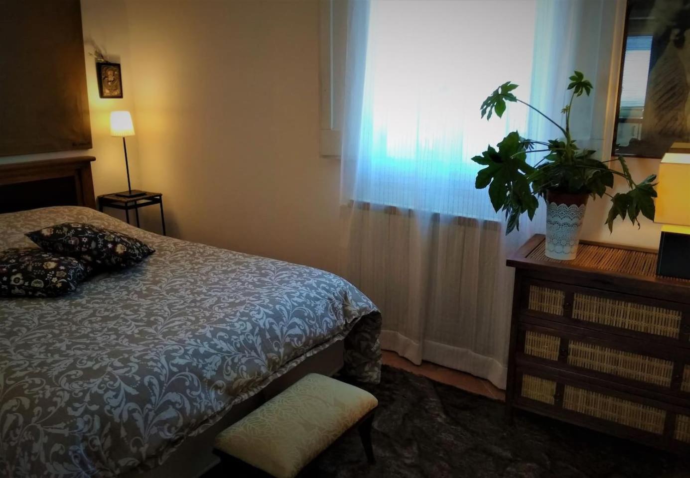 One-Bedroom Apartment - Photo 11