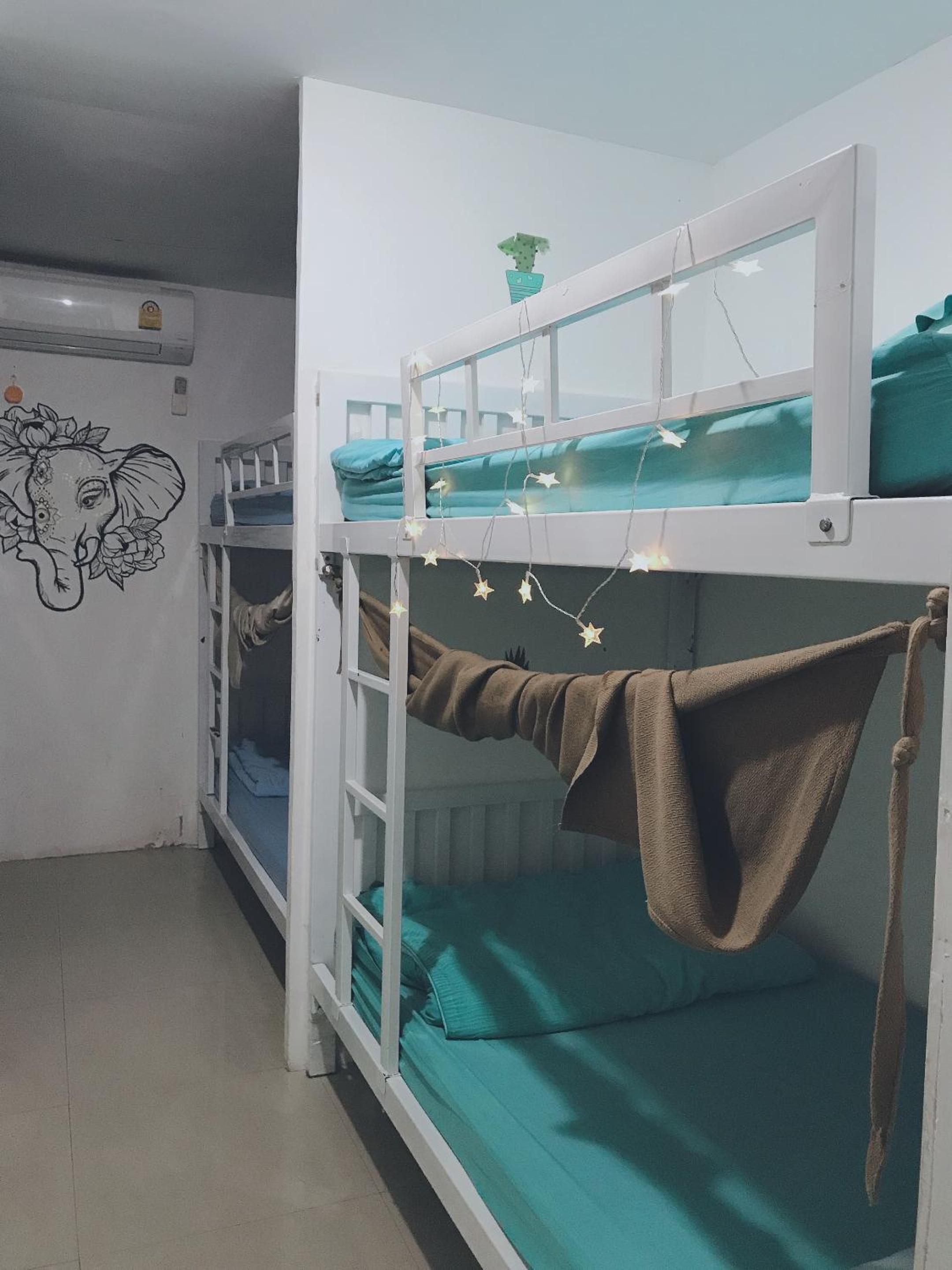 Bunk Bed in Mixed Dormitory Room photo 1