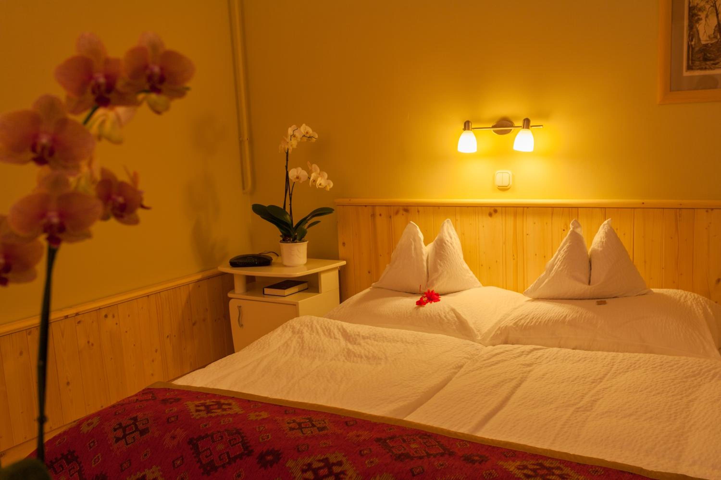 Superior Double or Twin Room with Garden View photo 3