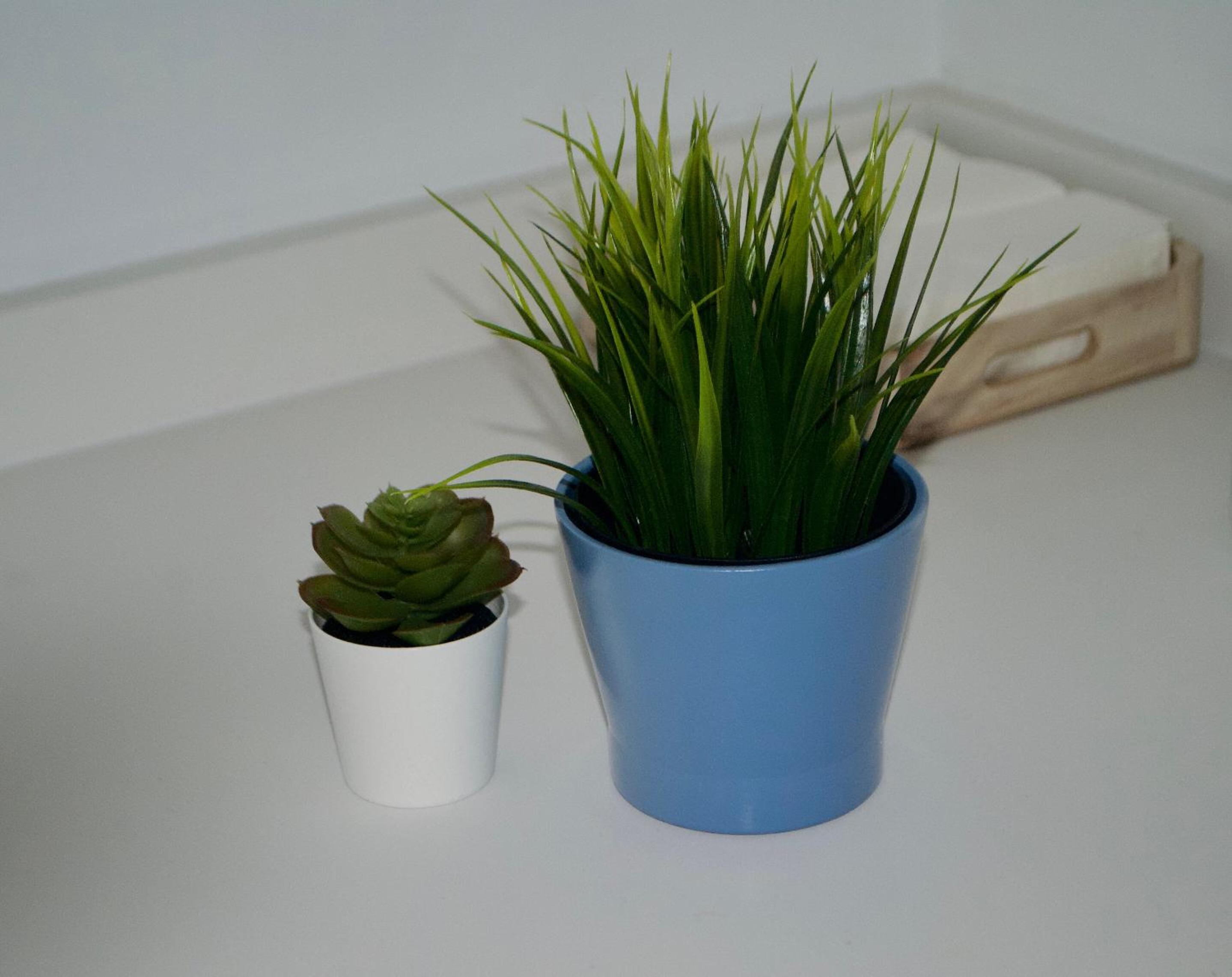 Studio Apartment - Photo 41