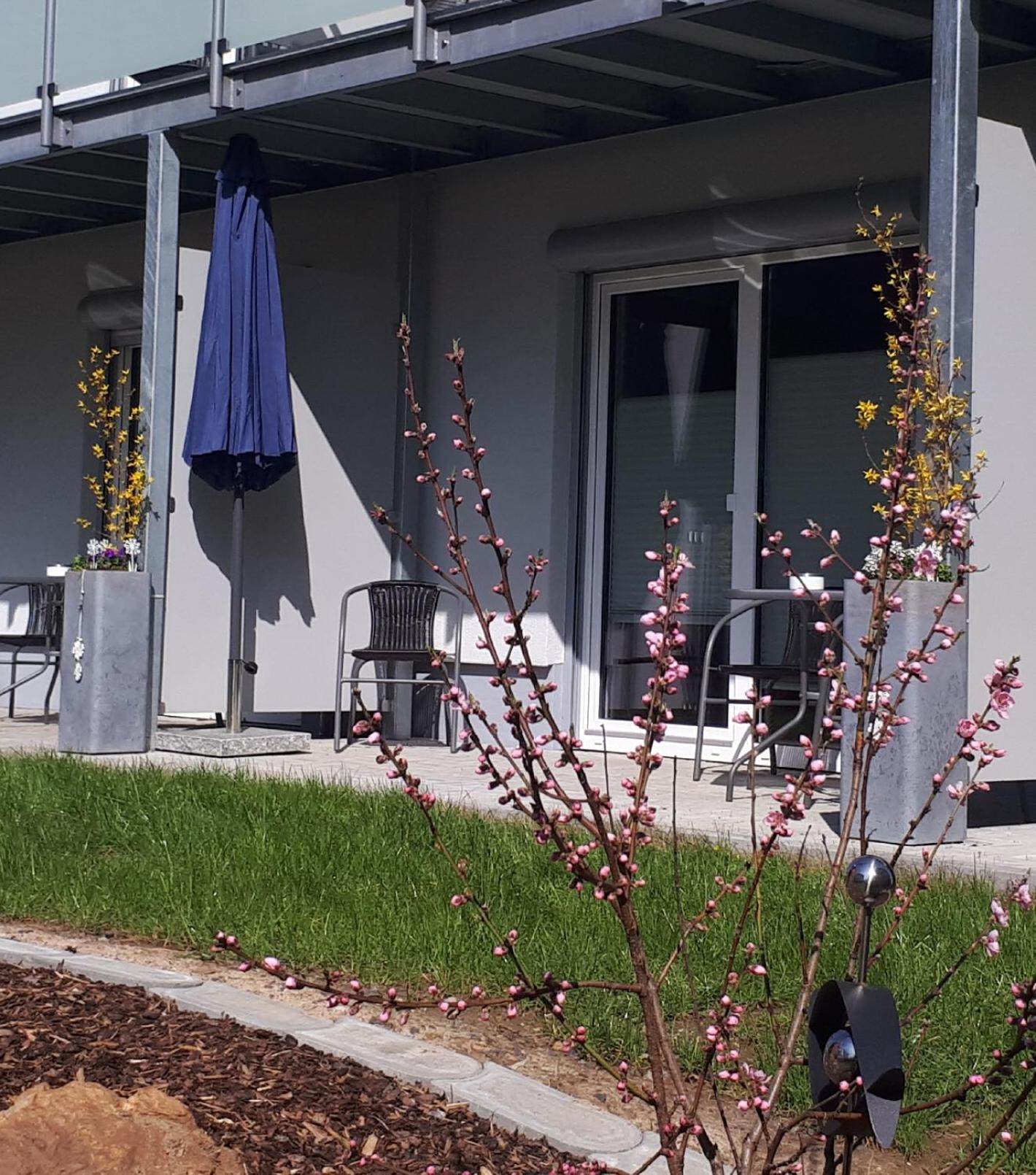 Apartment with Garden View photo 2