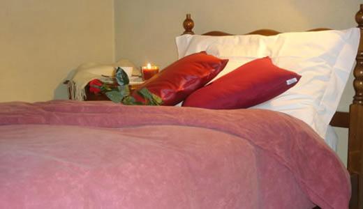 Classic Single Room photo 1