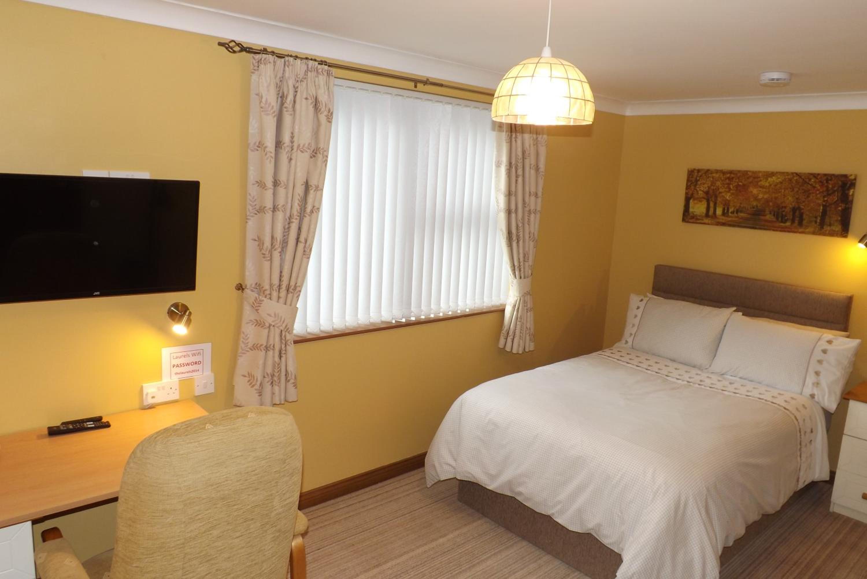 Large Single Room photo 2