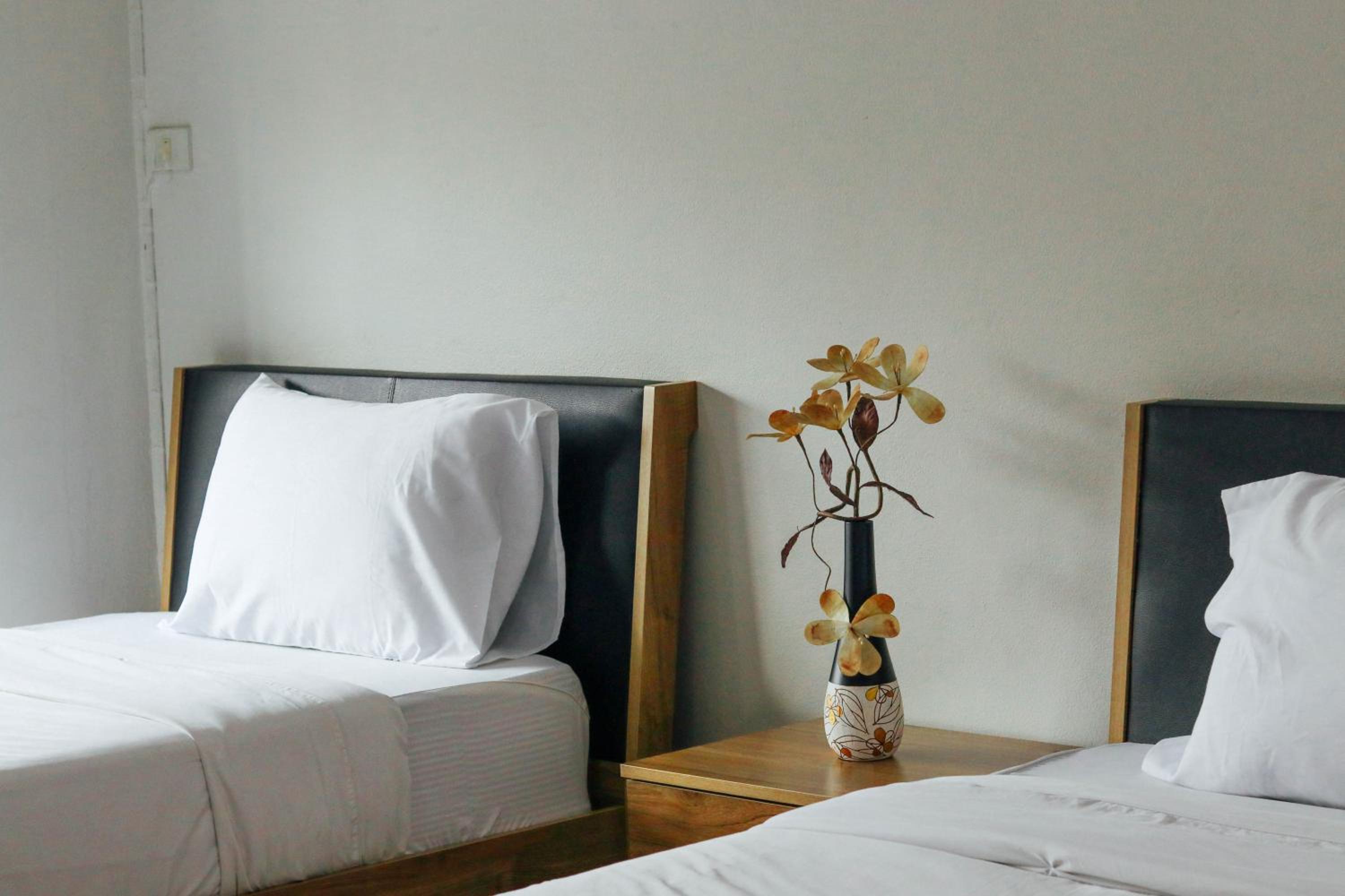 Standard Twin Room - Photo 3