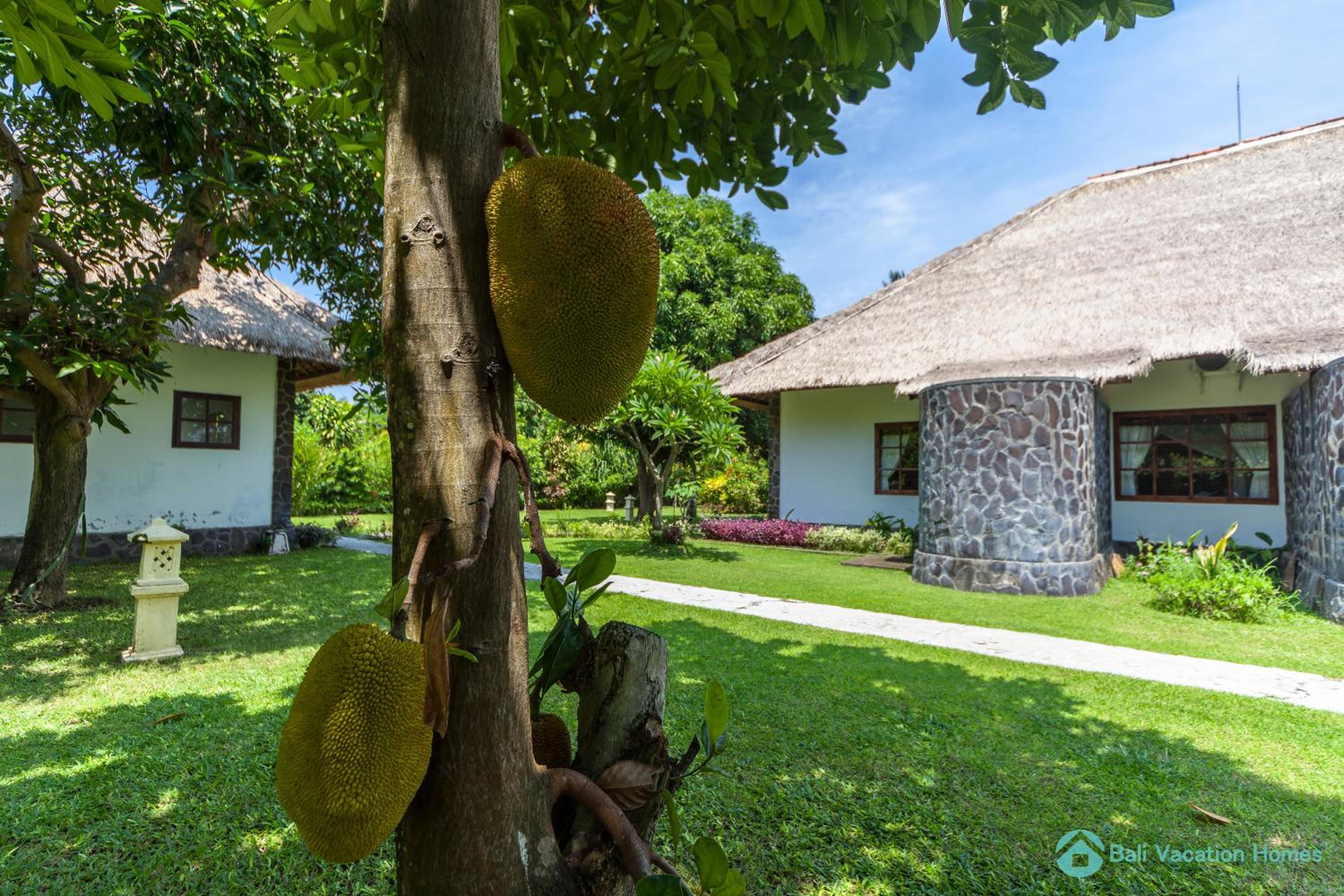 Villa - Beach Front photo 3