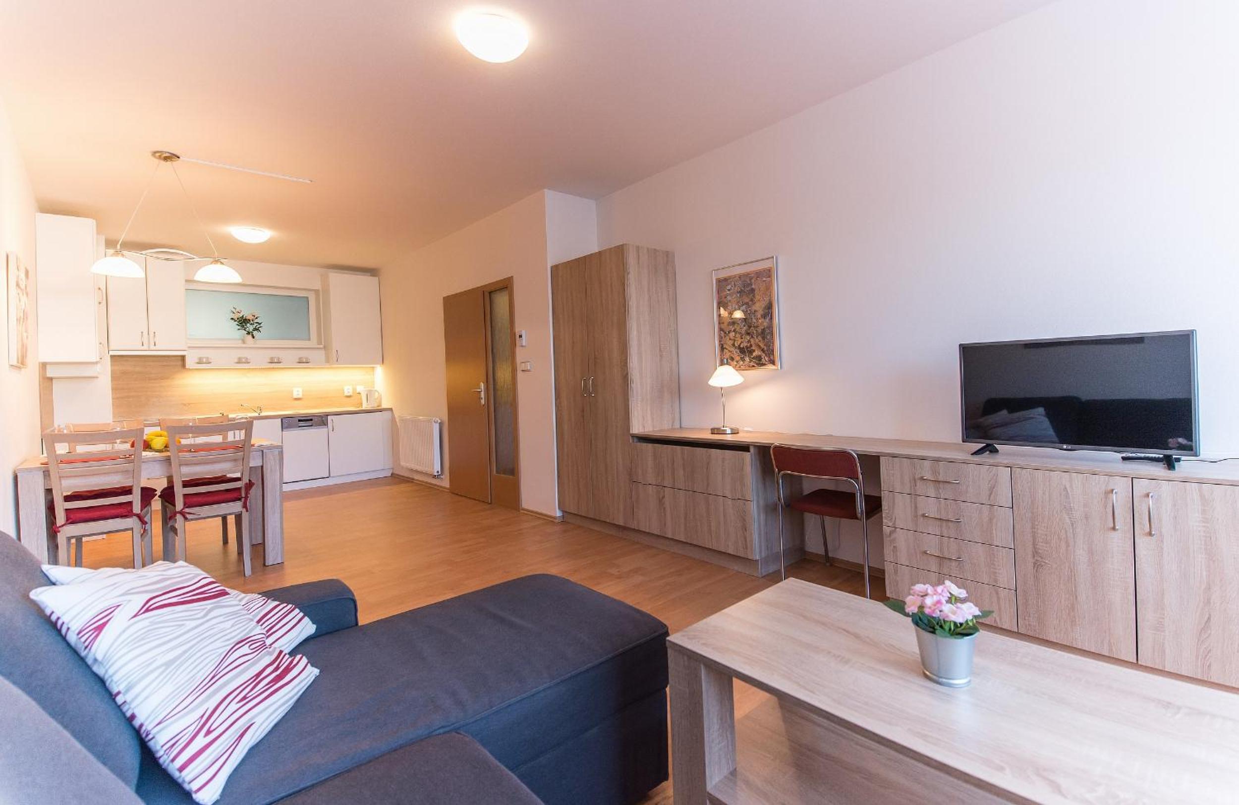 Apartment with Terrace photo 2