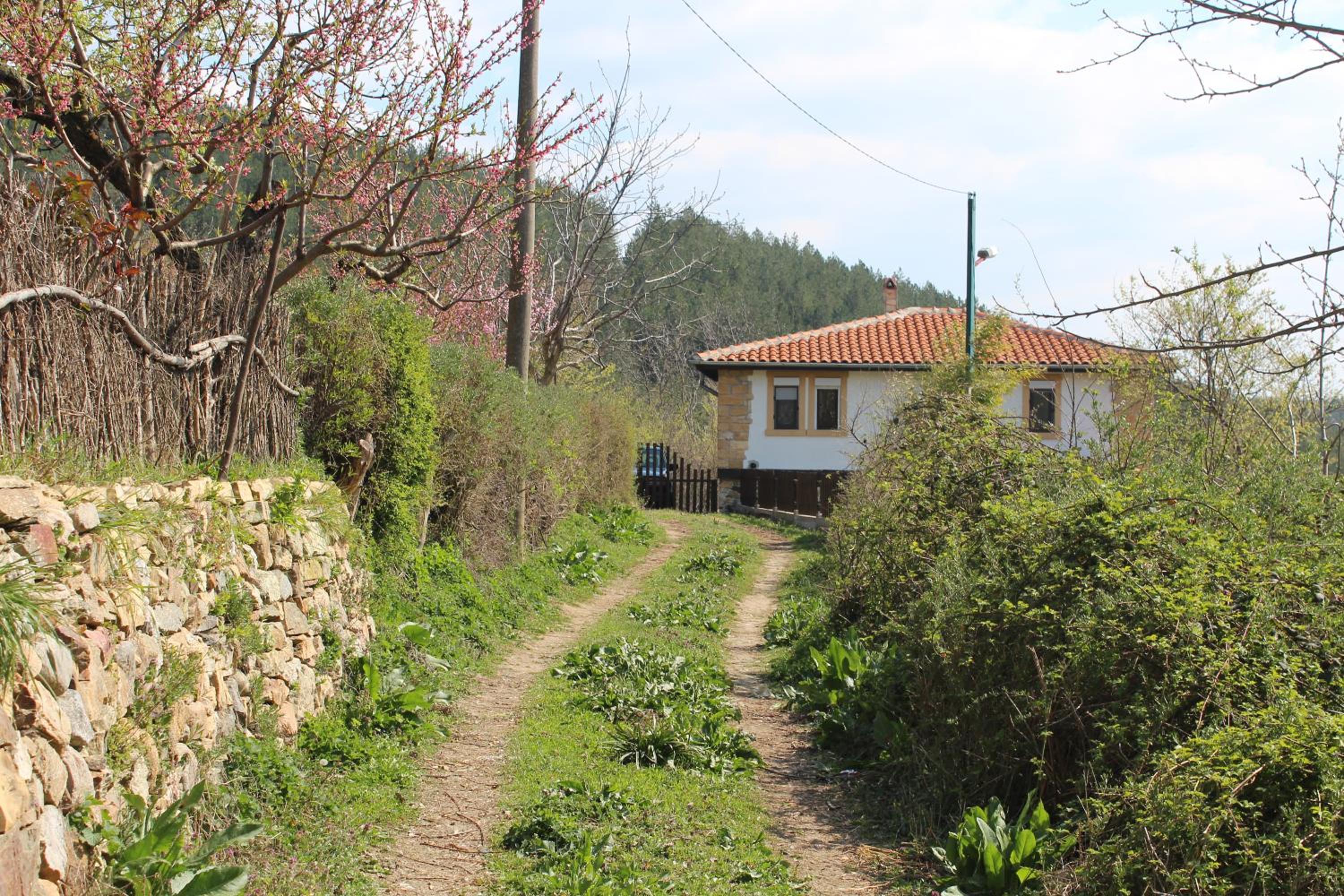 Vacation Home photo 3