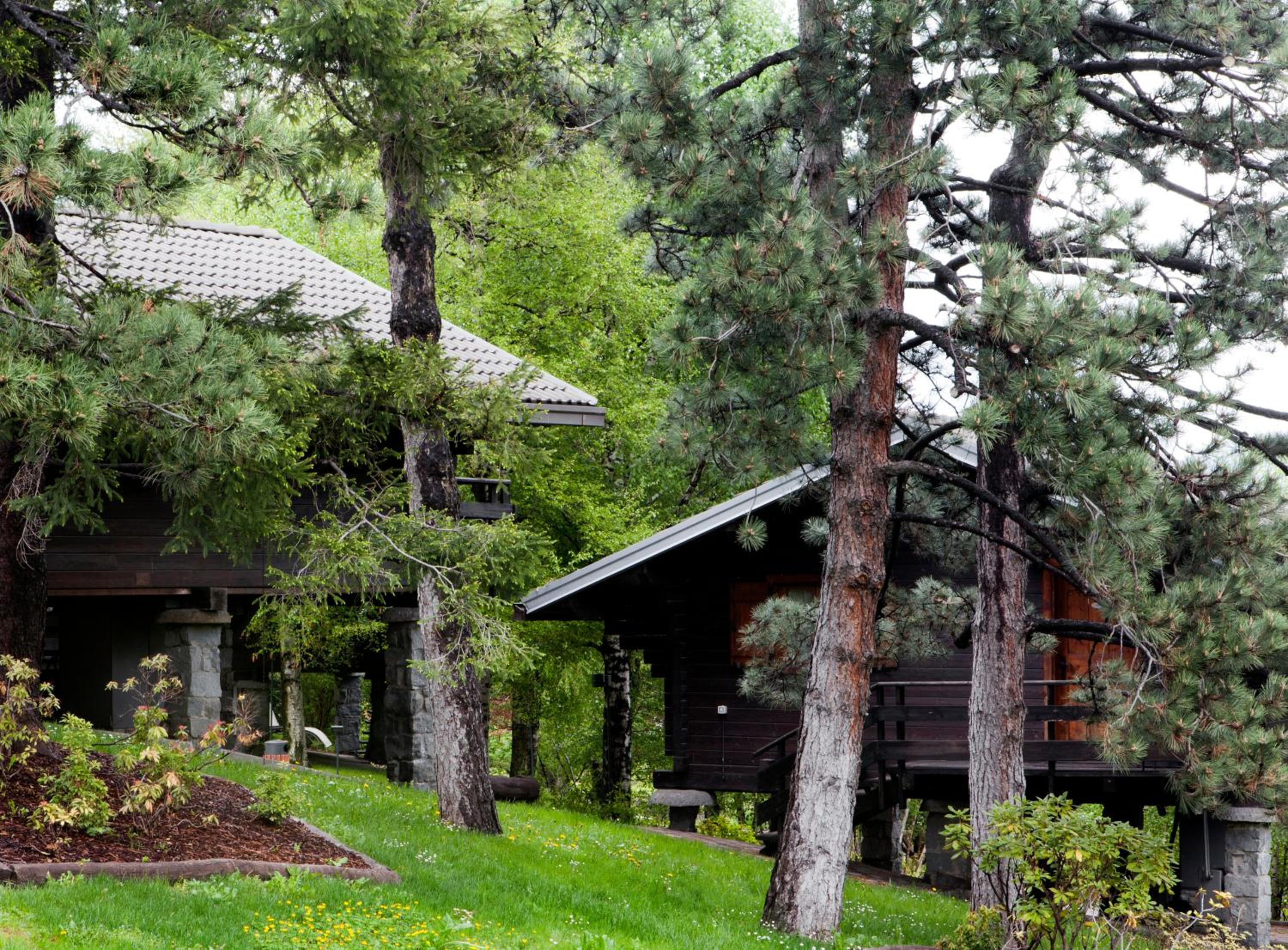 Chalet (3 Adults) - Photo 3